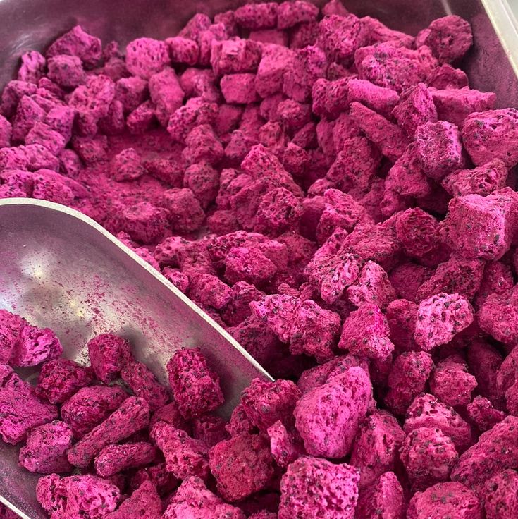 Freeze Dried Dragon Fruit