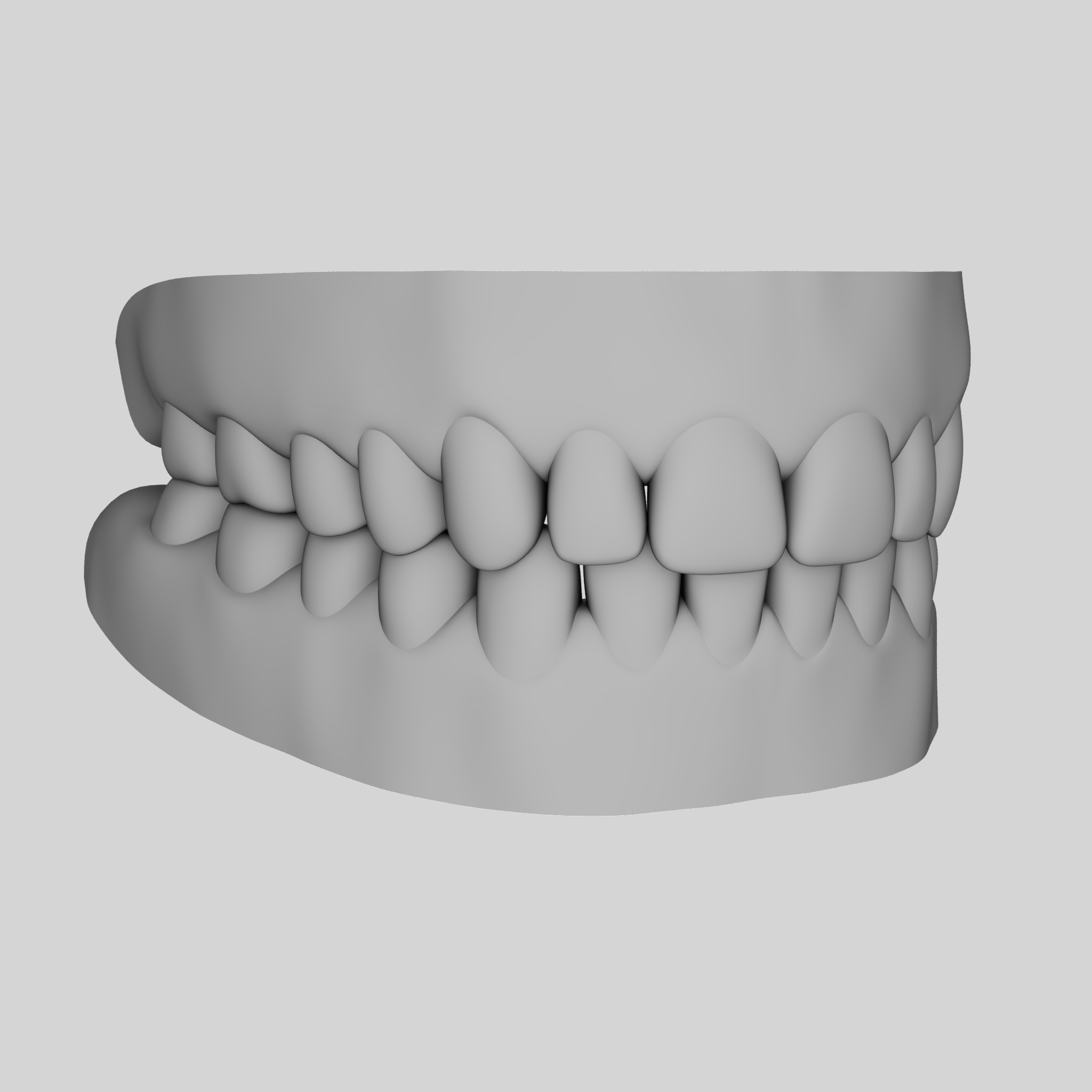 3D Dental Model