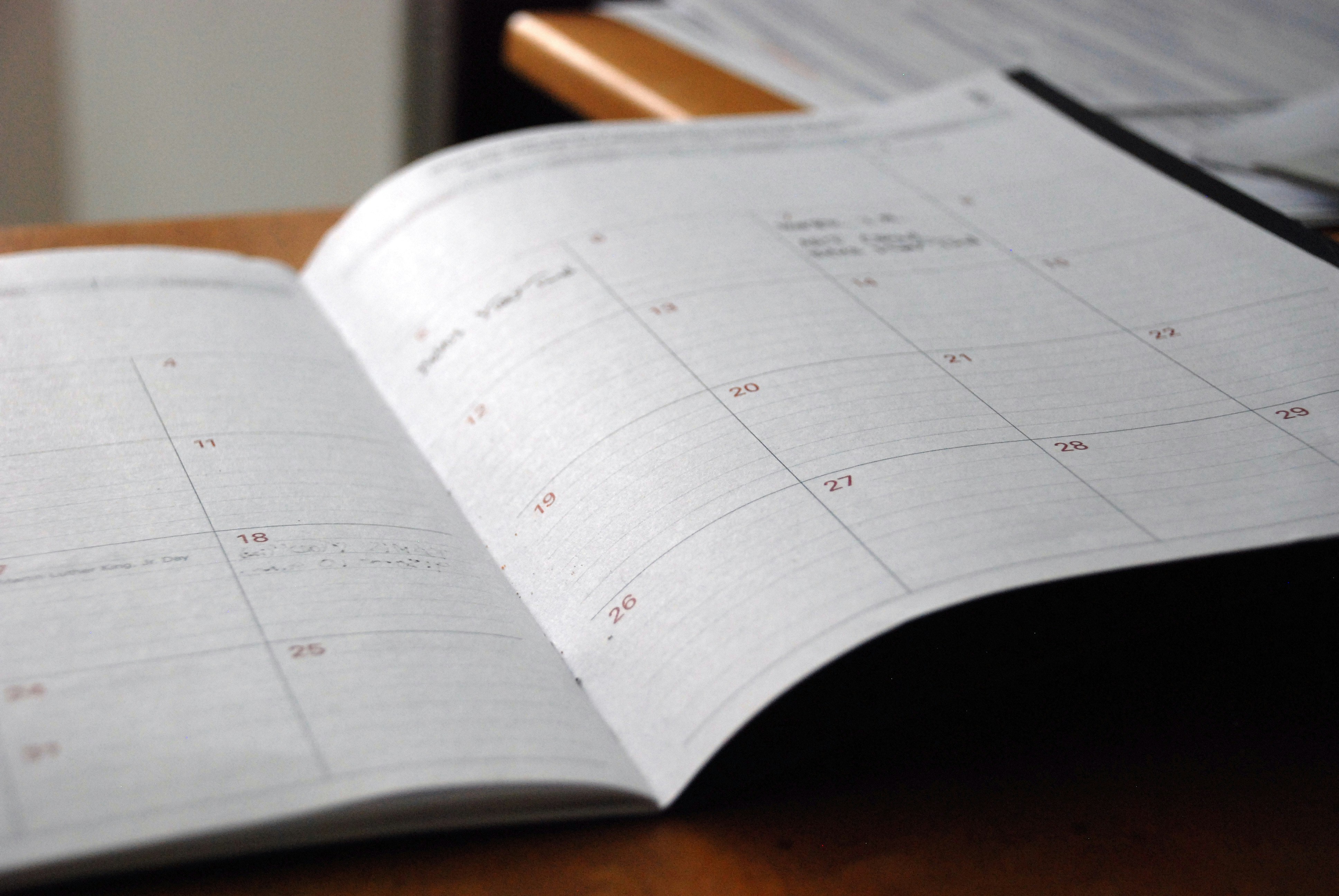 Polish My Paper - Monthly Membership
