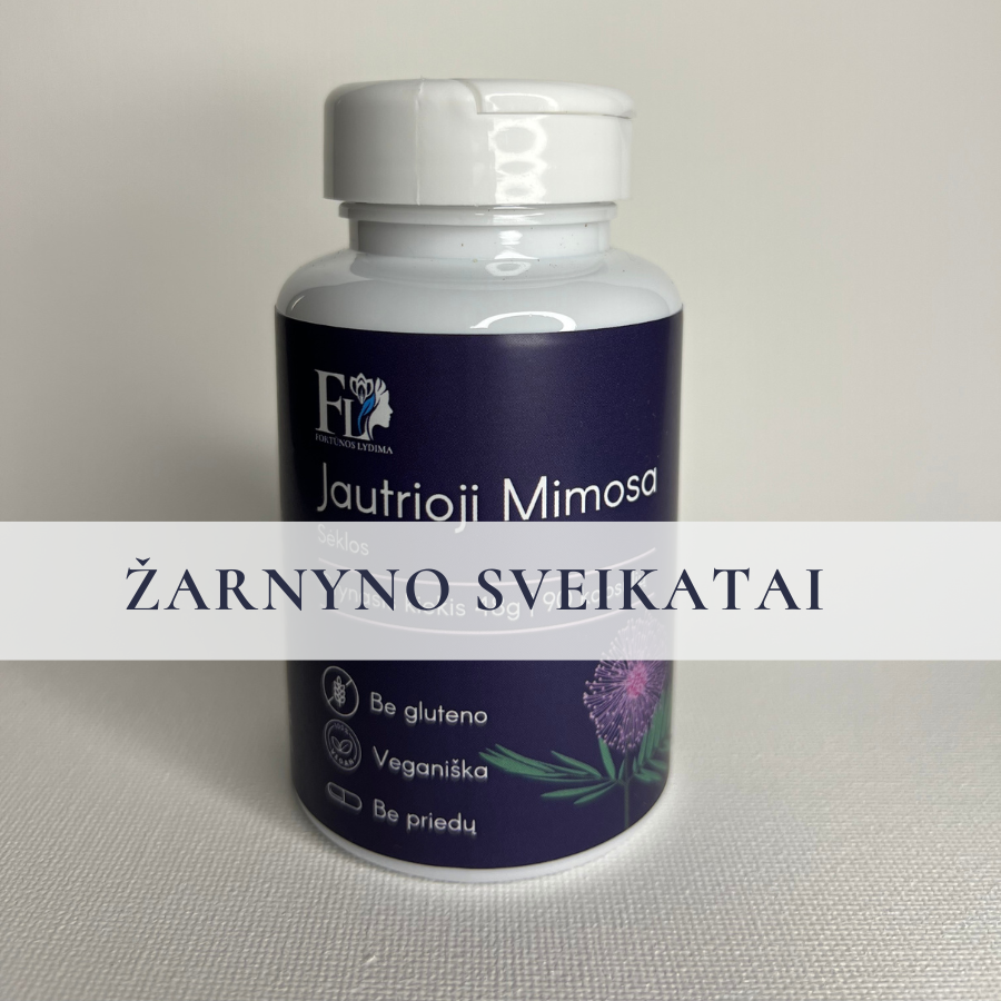 Jautrioji Mimosa sėklos 