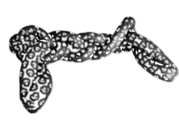 'Two braids' product model