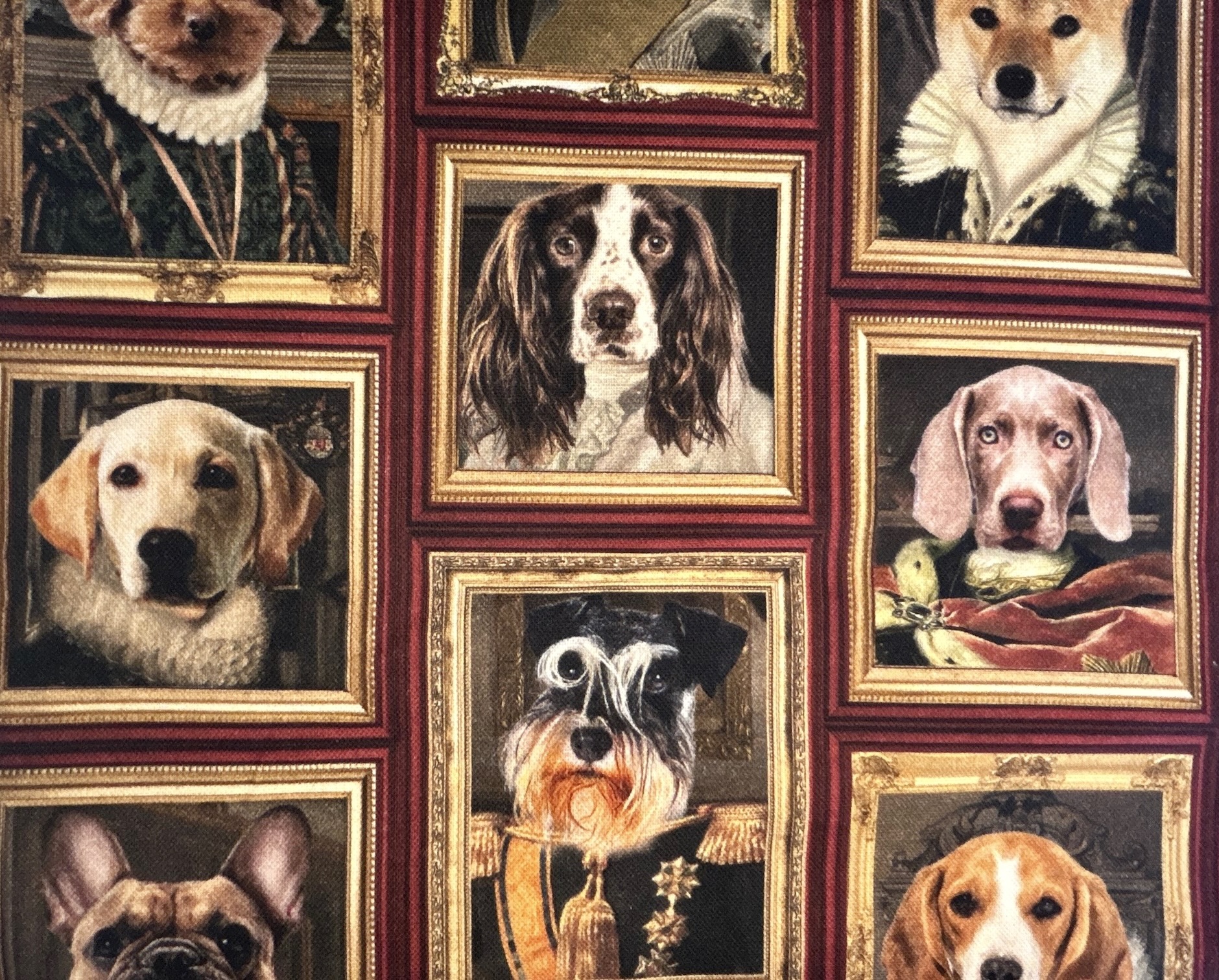 #kingdogs