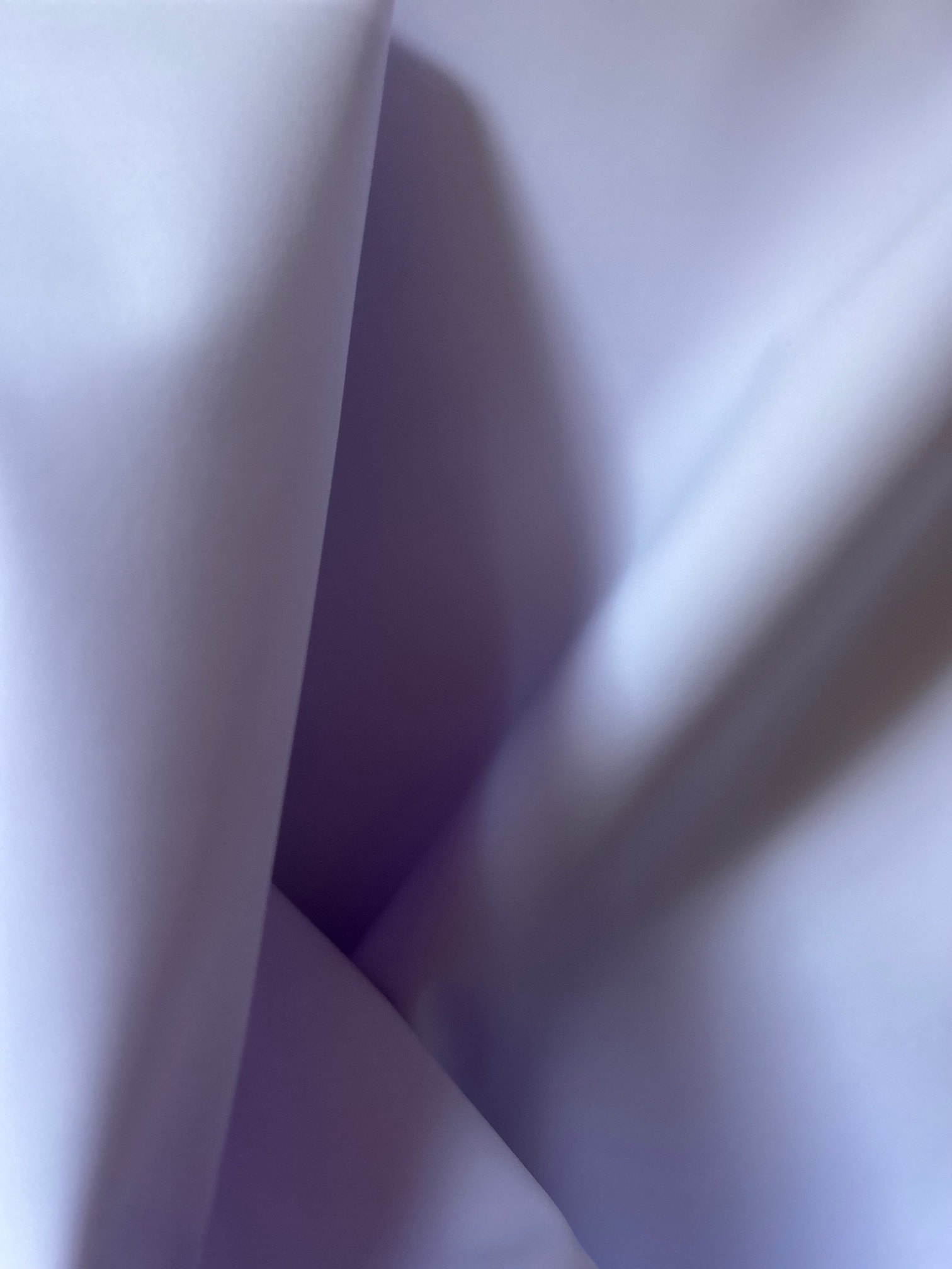 #lightlilas