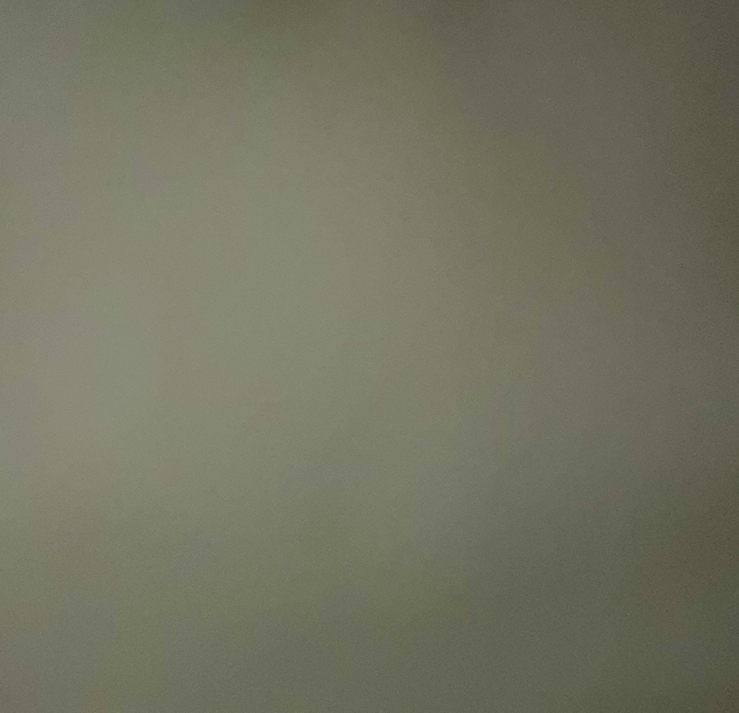 #olivegreen