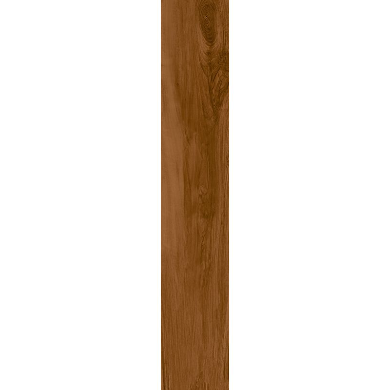 Porcelanato Red Wood Amendoa GAUDI