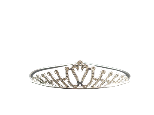Daisy's Tiara