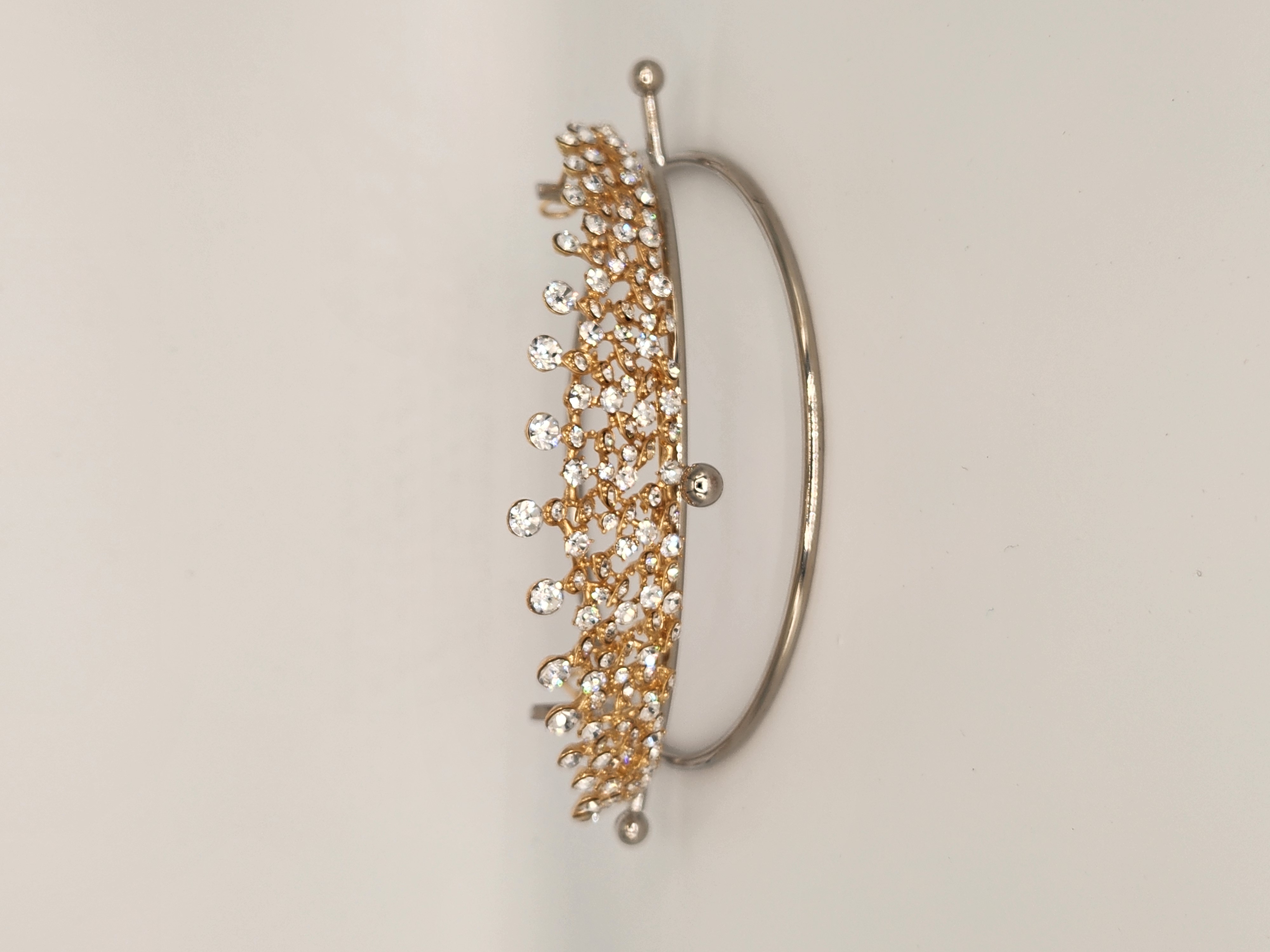 Maxine's Tiara