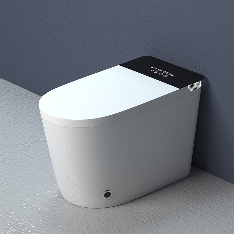 PMH 9070 Smart Toilet Voice Control