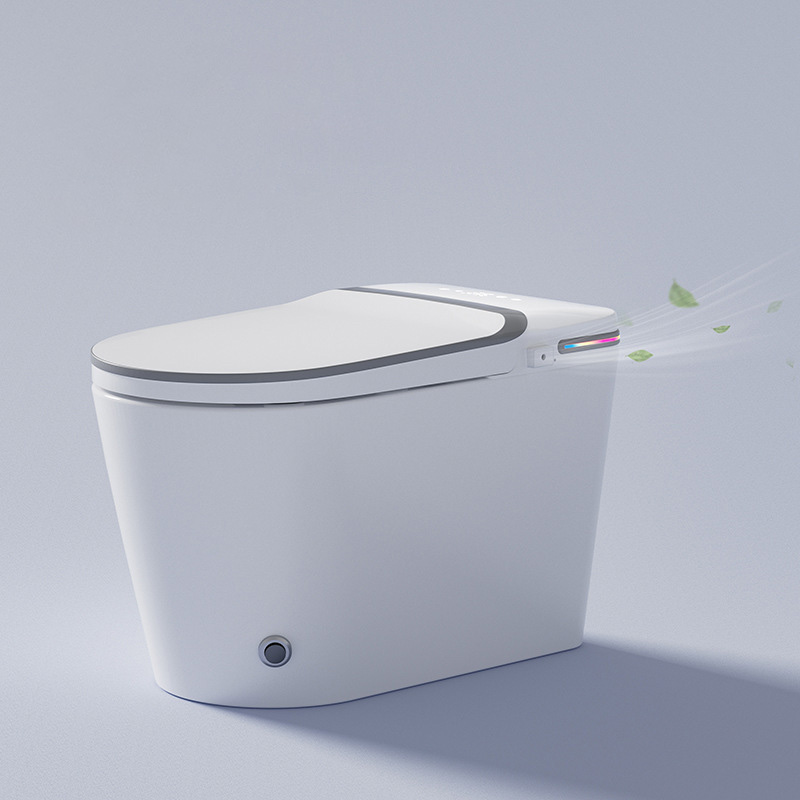 PMH-9030 - Top Tier Smart Toilet