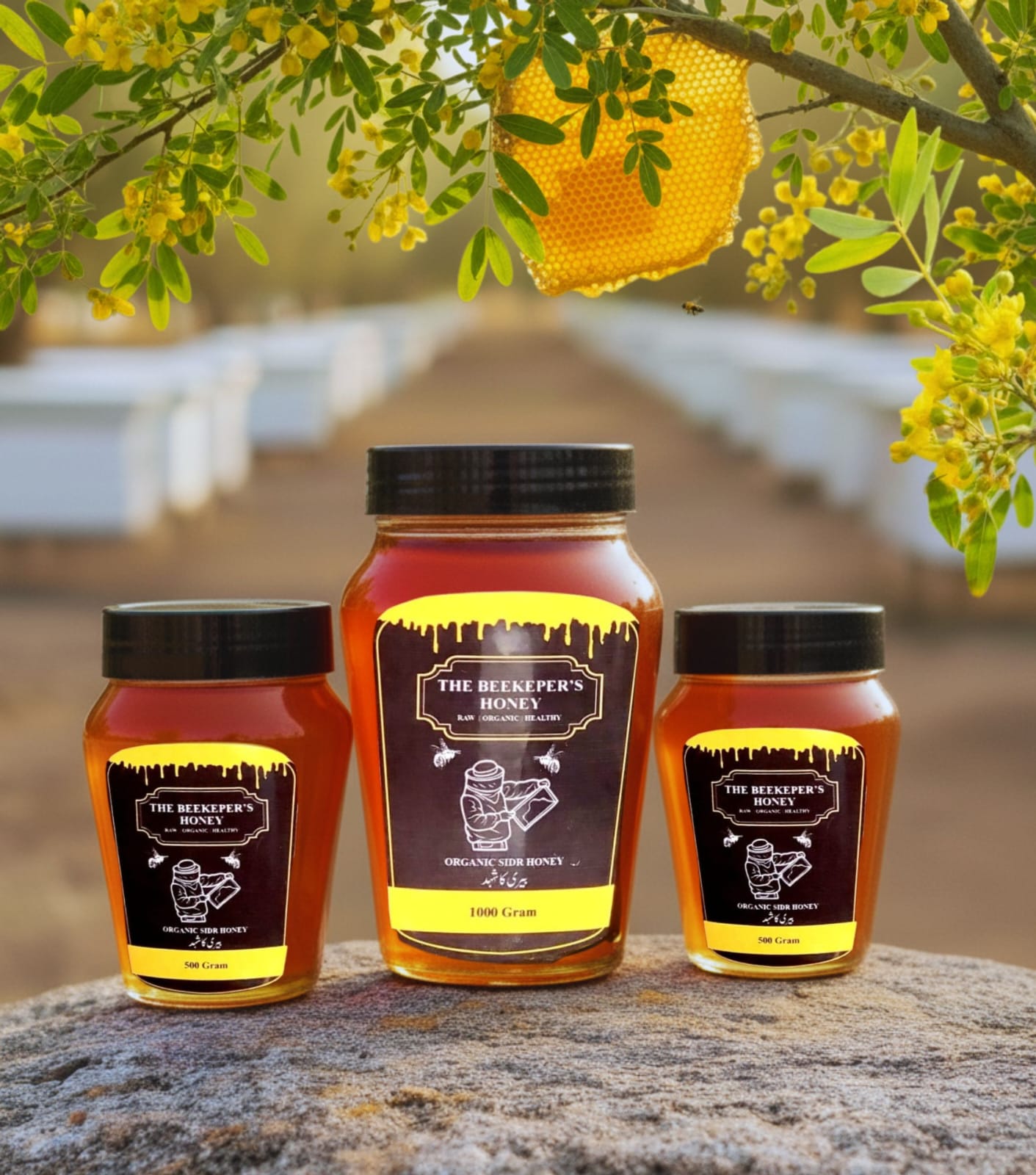 Sidr Honey (بیری کا شہد)