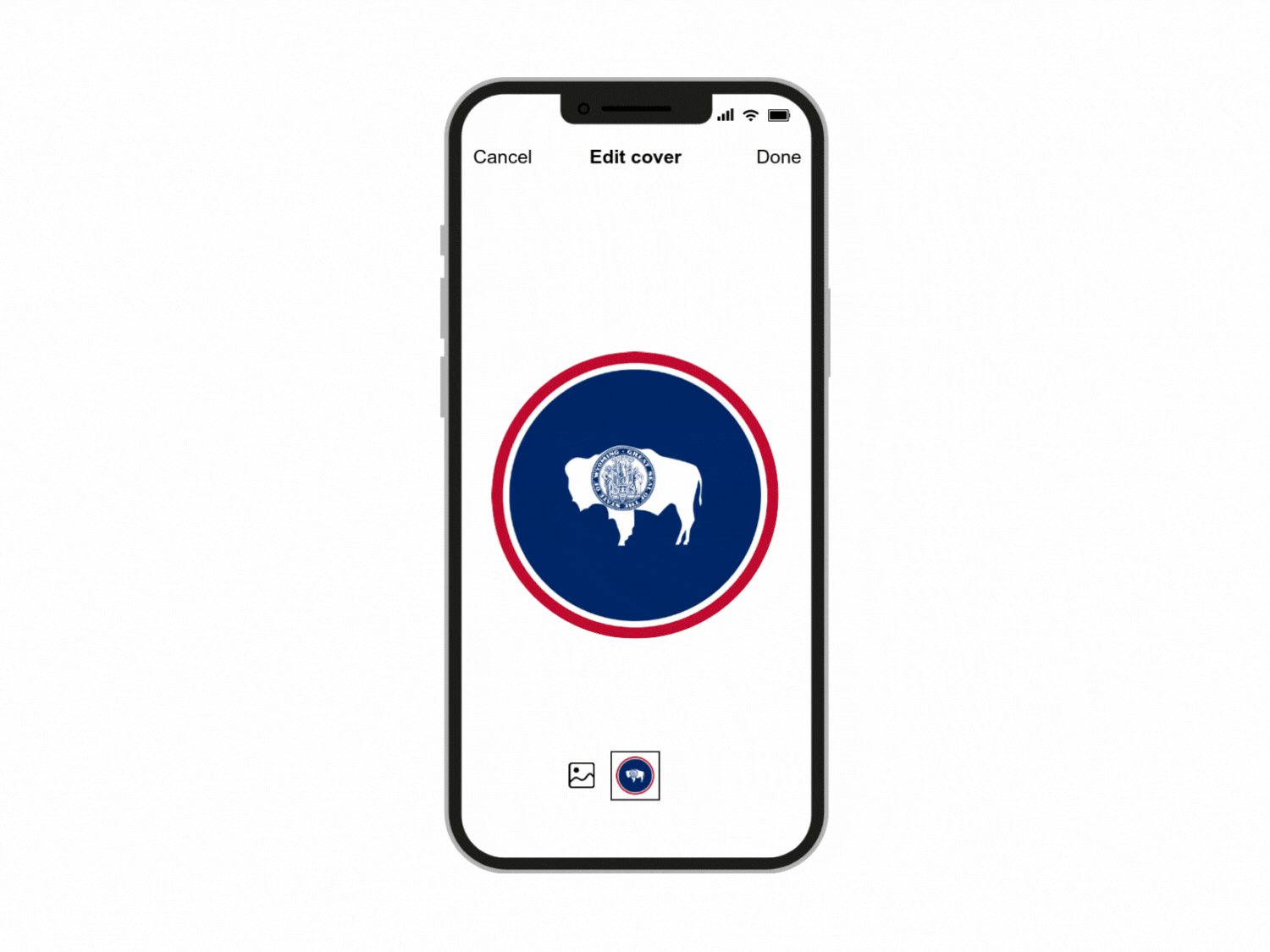 US States and Territories Circle Flags