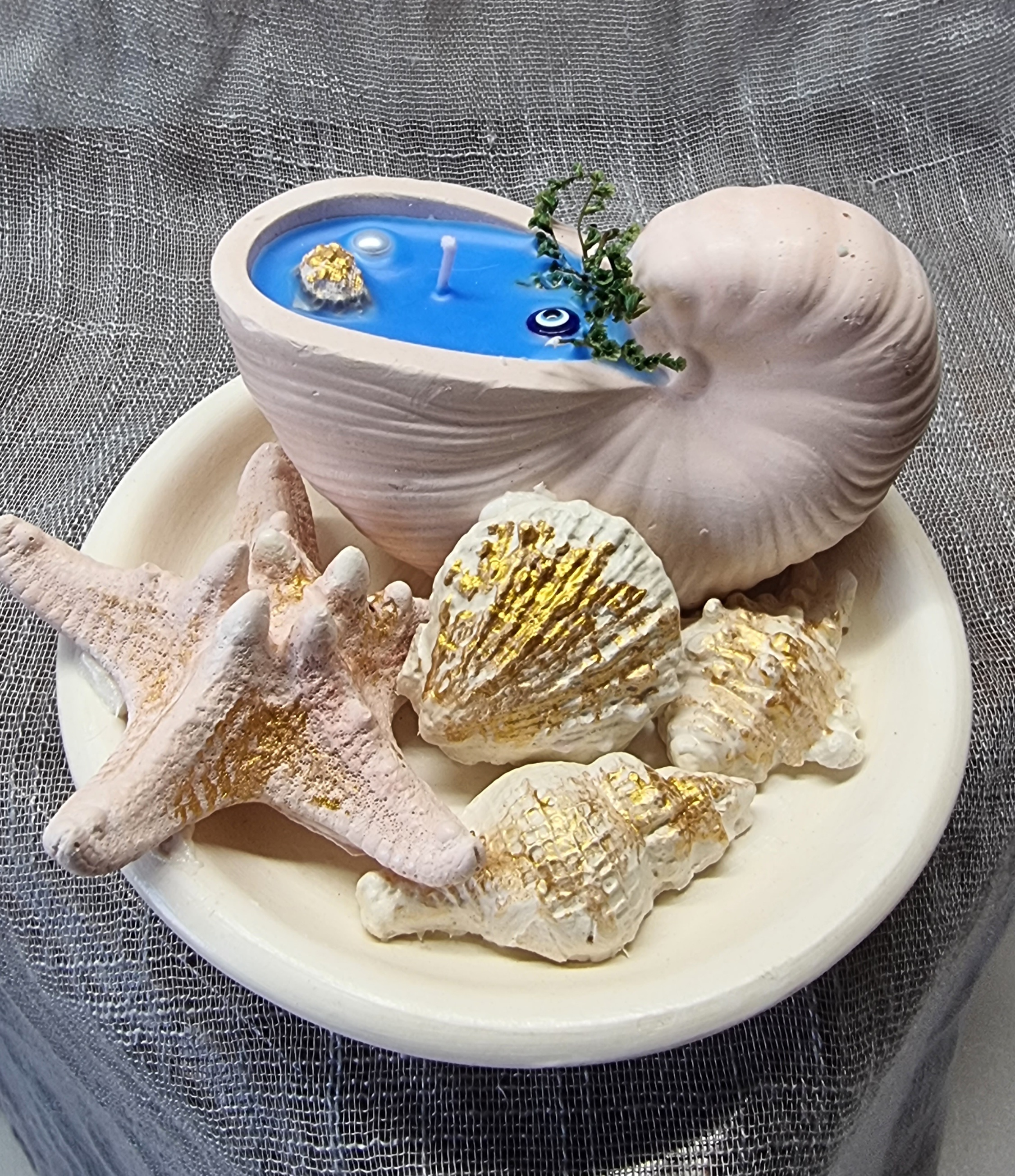 Seashell on a plate