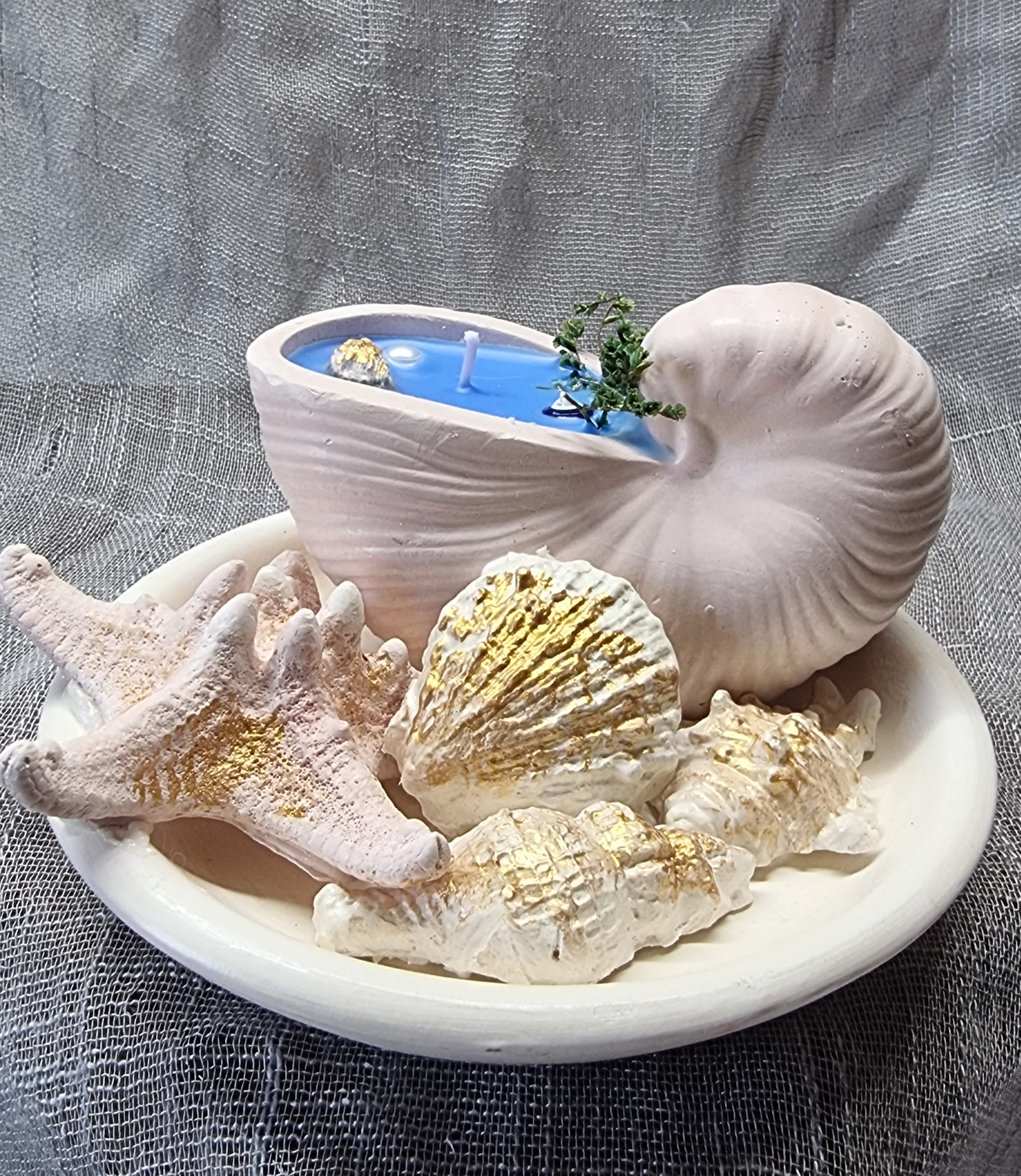 Seashell on a plate