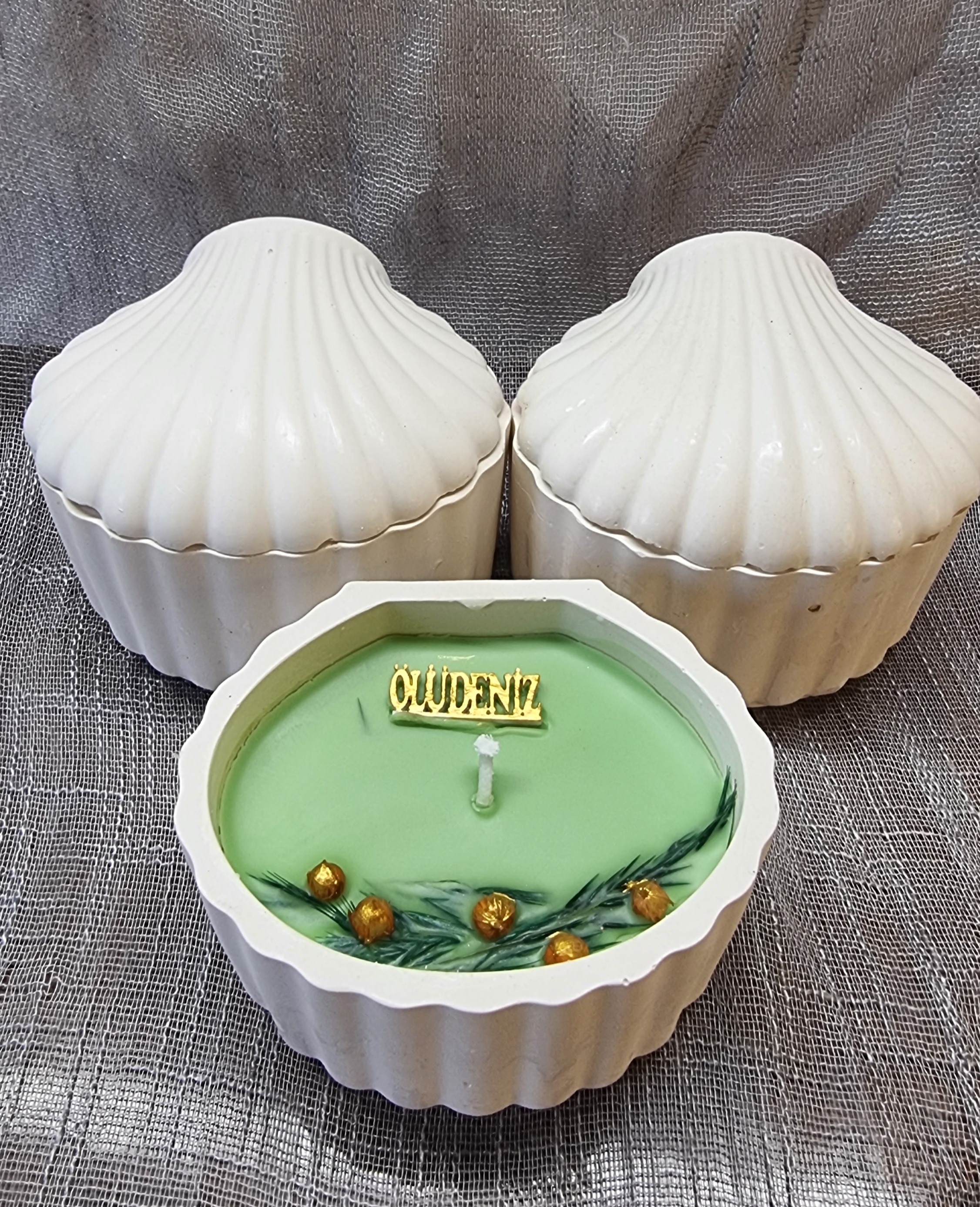 Green wax in a handmade seashell (pine scented)