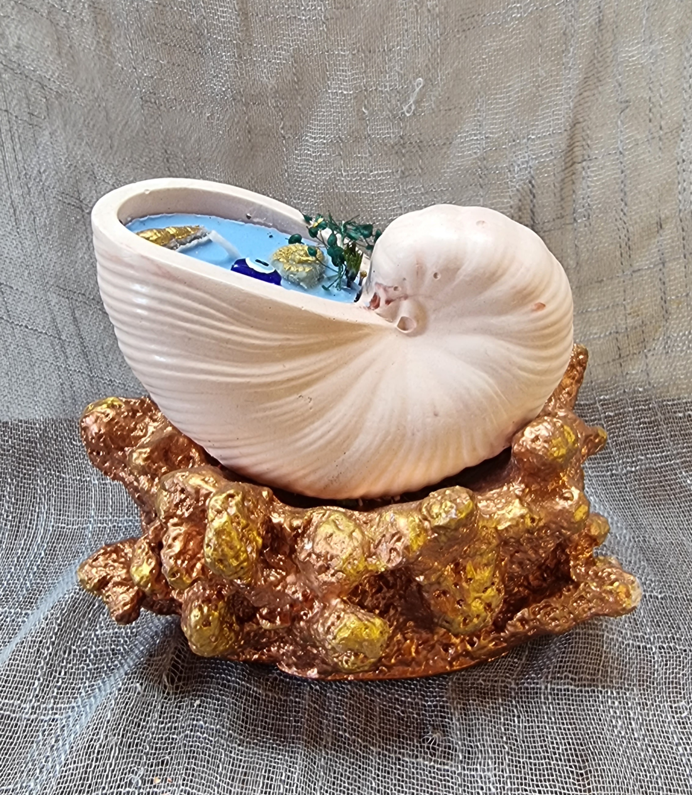 Big-size seashell on coral (sea freshness scent)