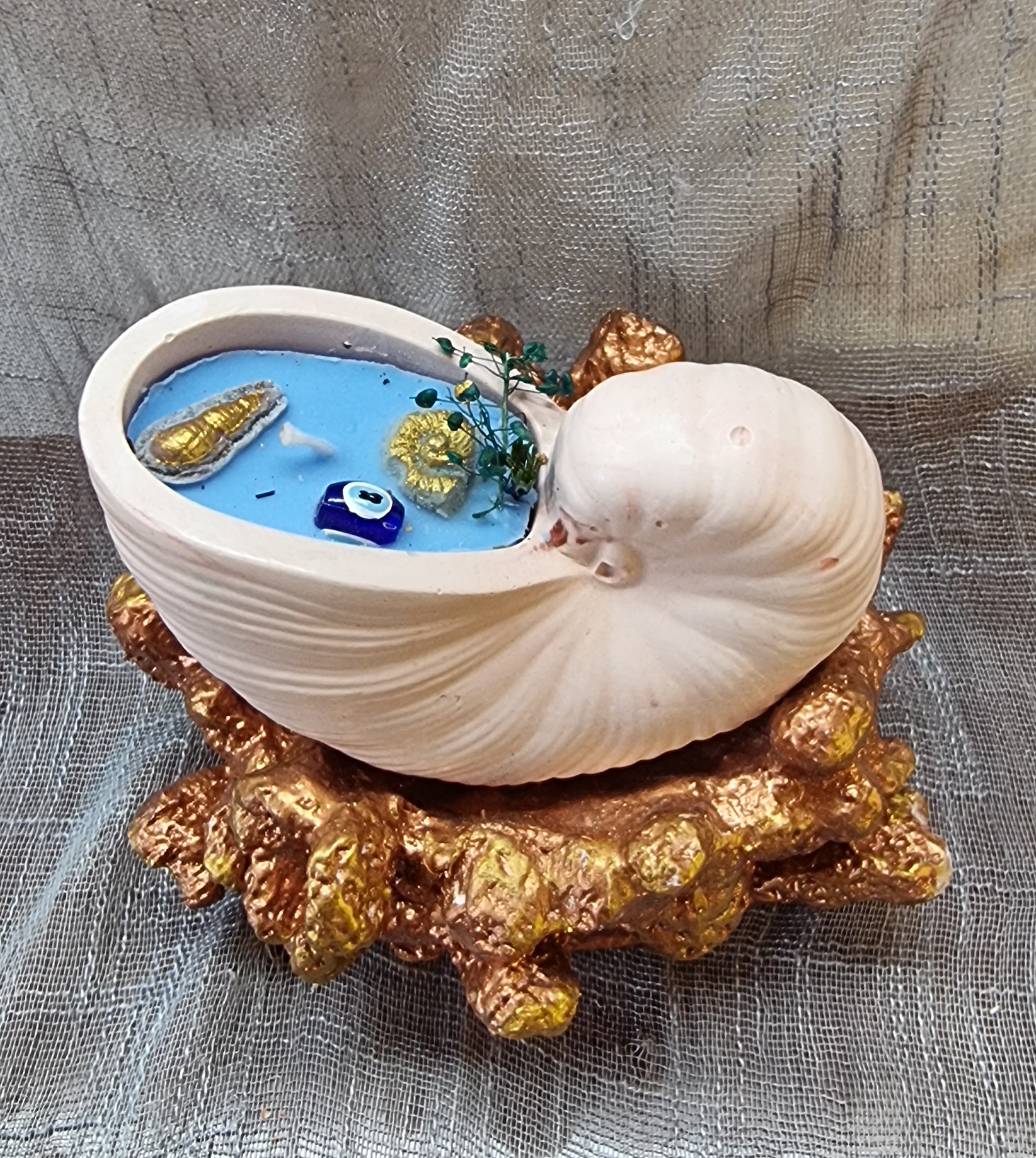 Big-size seashell on coral (sea freshness scent)