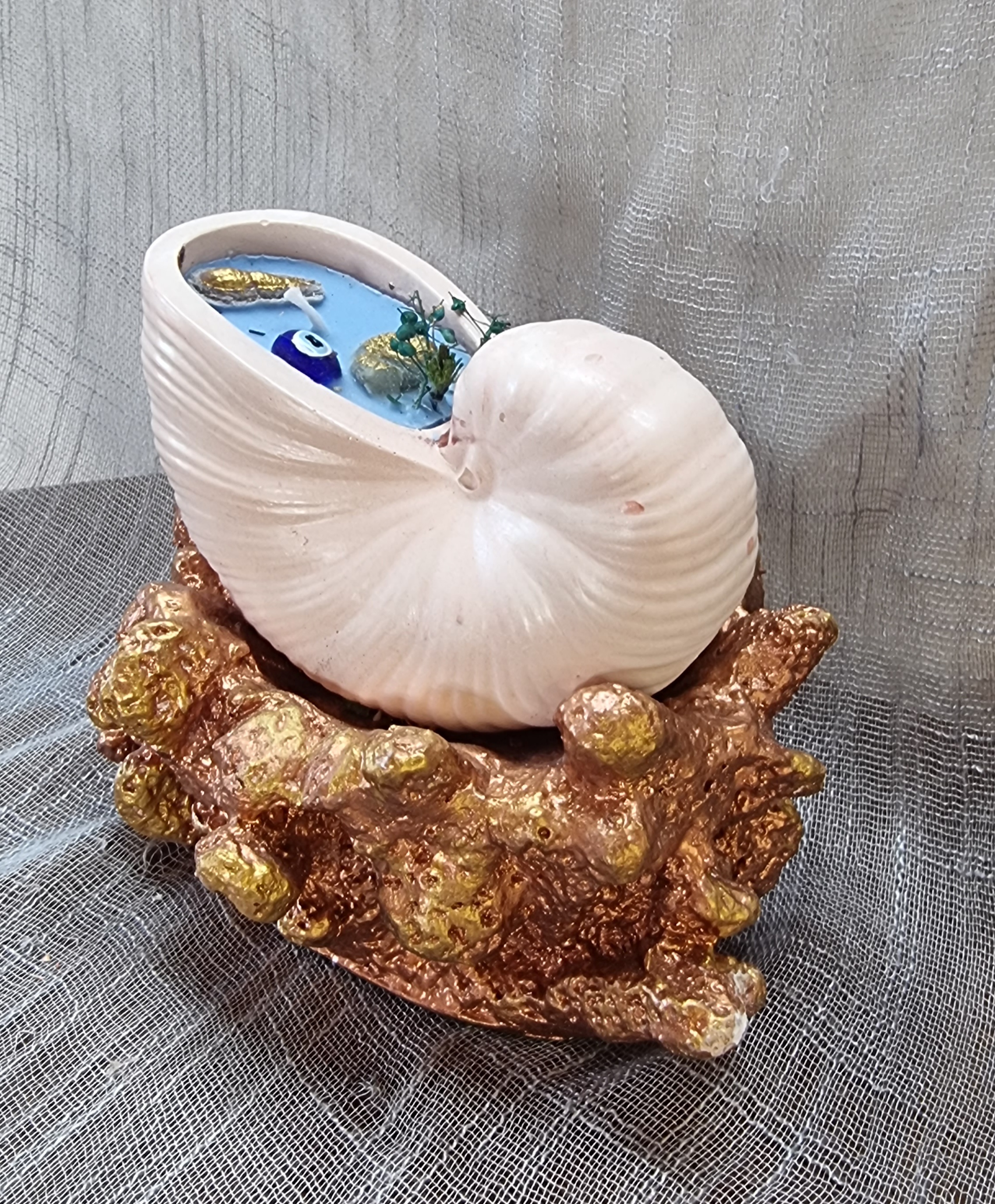 Big-size seashell on coral (sea freshness scent)