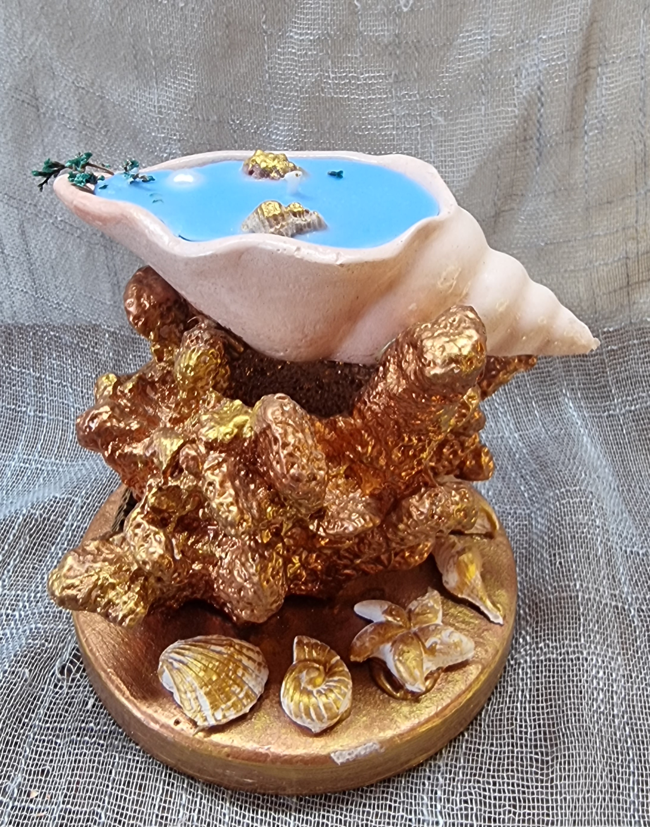 Small-size seashell on coral (sea freshness scent)