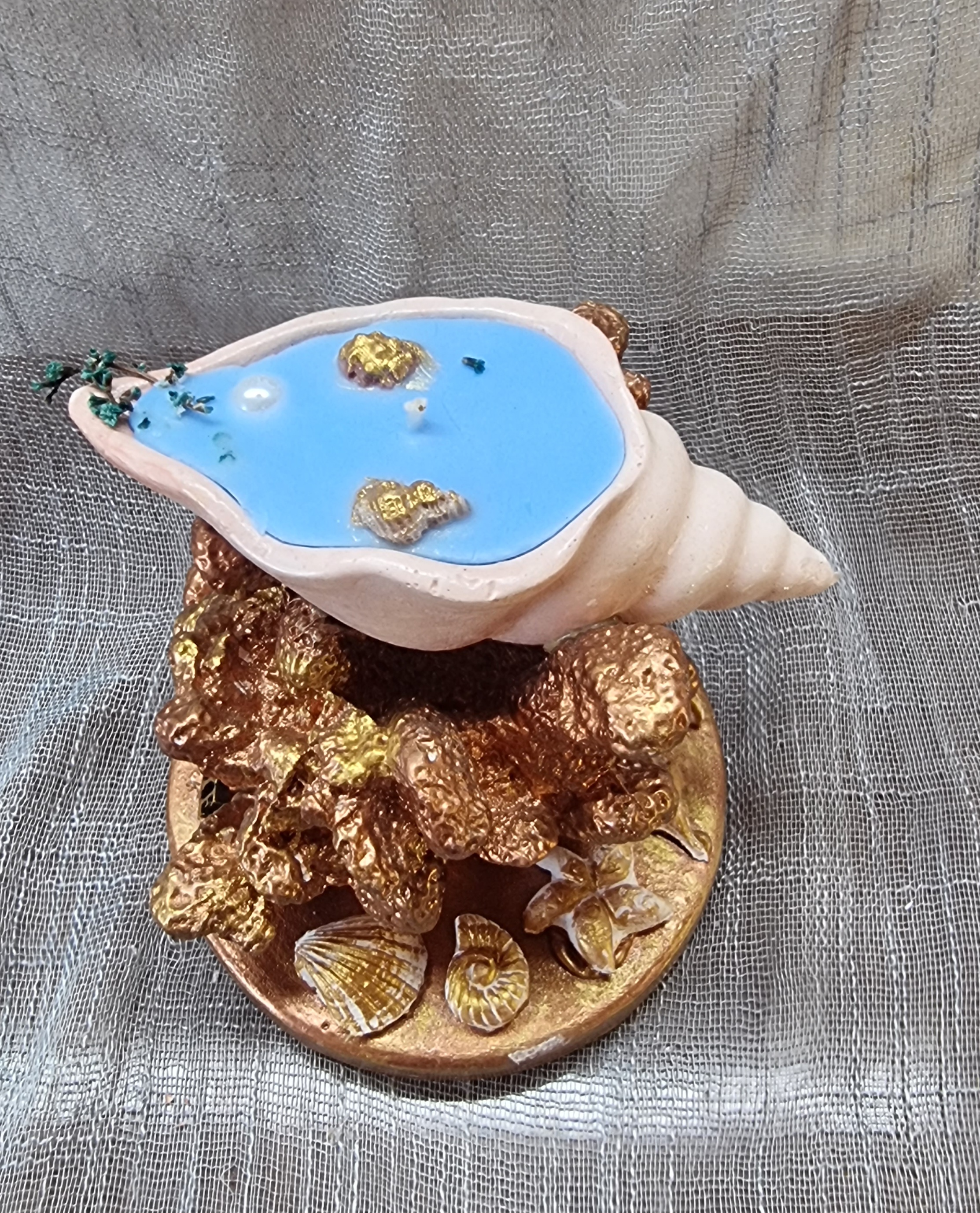 Small-size seashell on coral (sea freshness scent)