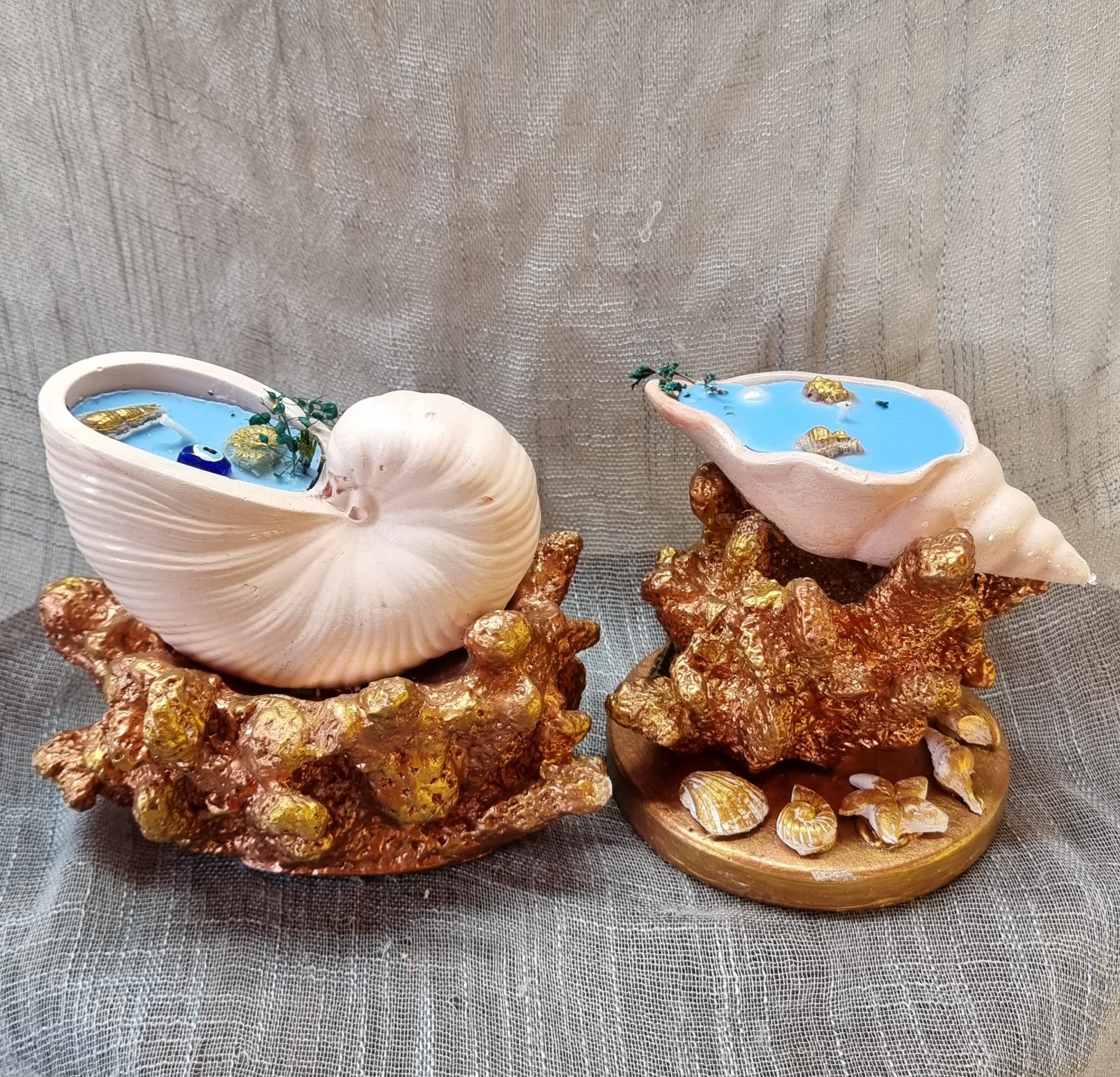 Small-size seashell on coral (sea freshness scent)