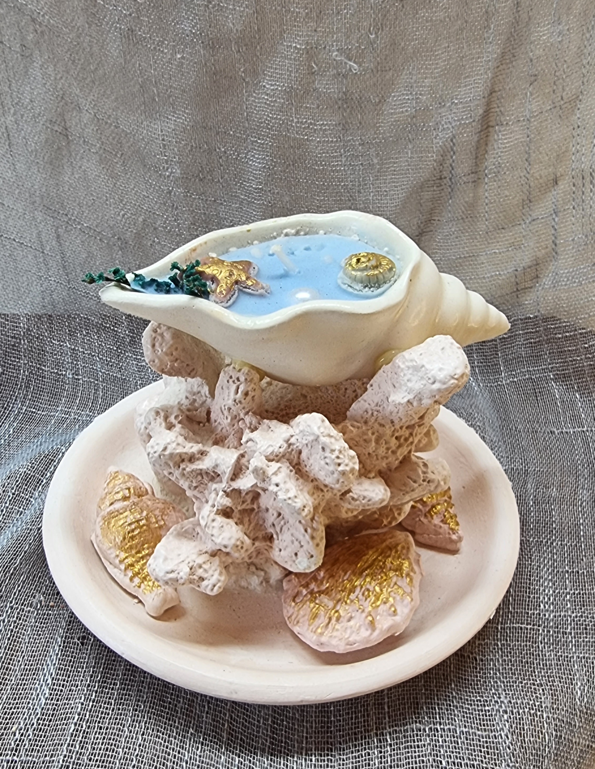 Small-size seashell atop coral on a plate (sea freshness scent)