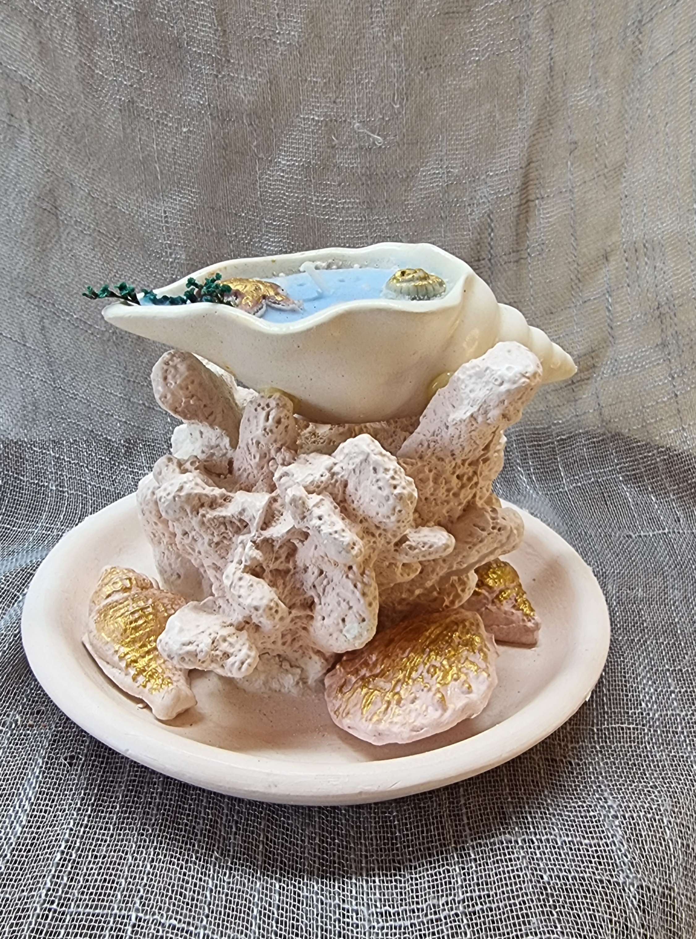 Small-size seashell atop coral on a plate (sea freshness scent)