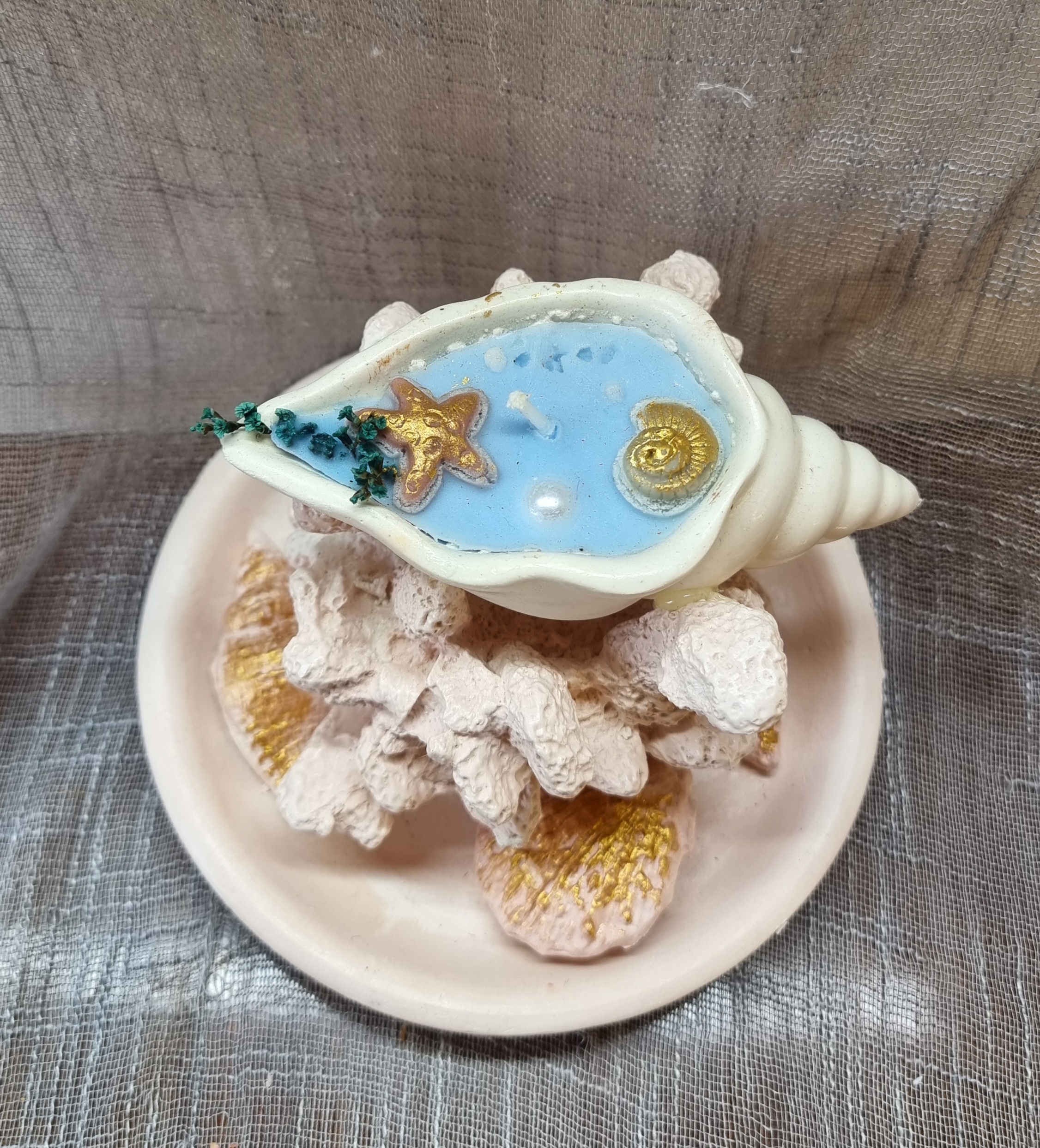 Small-size seashell atop coral on a plate (sea freshness scent)