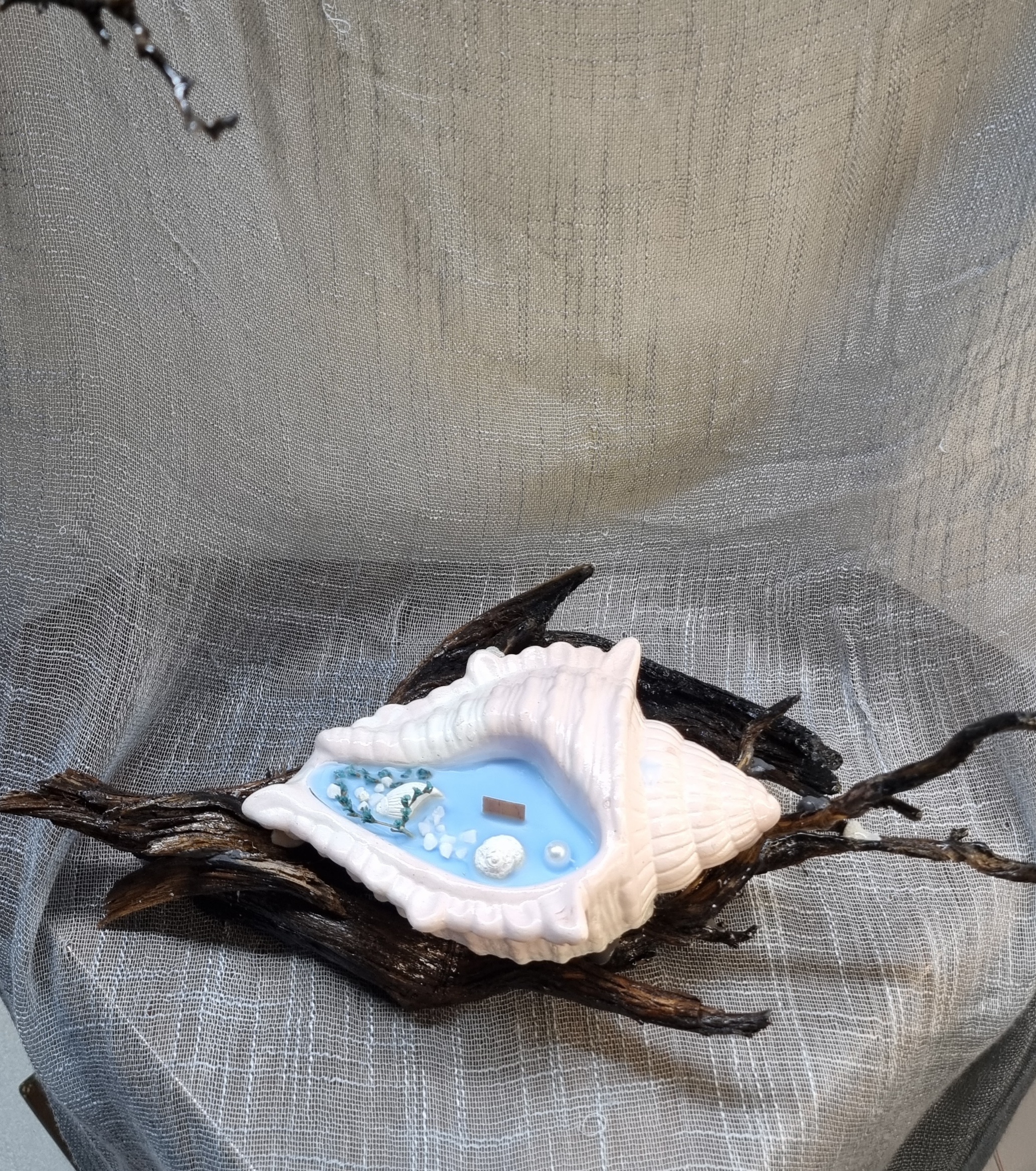 Big handmade seashell on wooden base (sea freshness scent) 