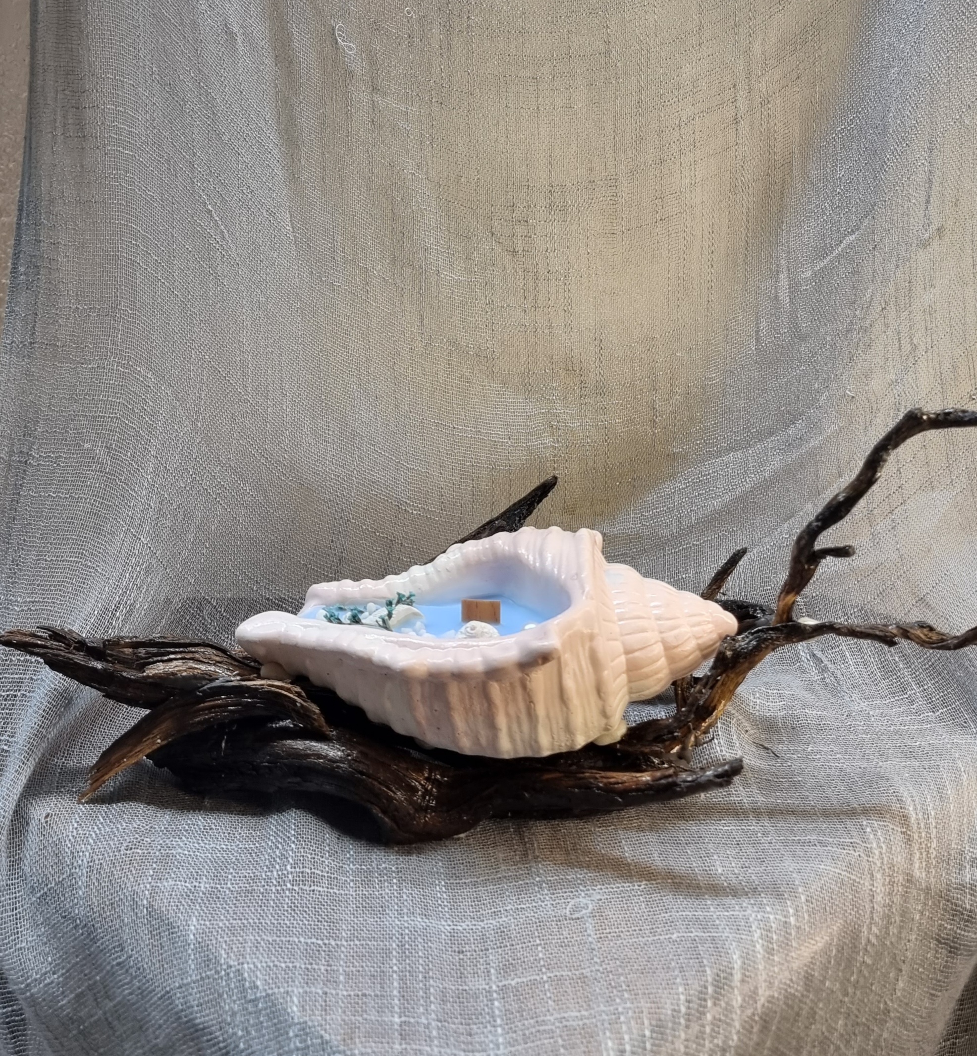 Big handmade seashell on wooden base (sea freshness scent) 