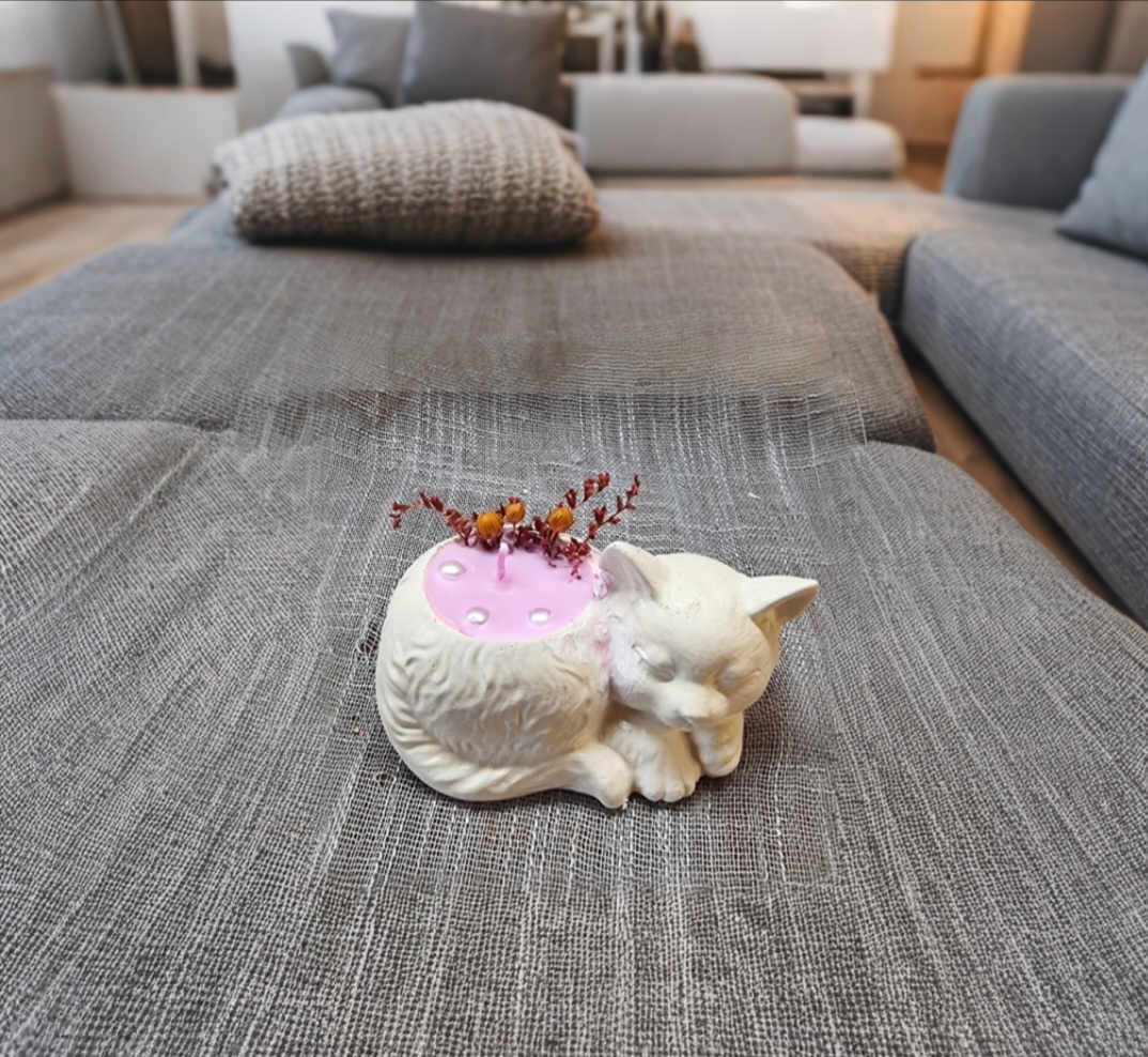 Pink candle in a cat-shaped container (mora-mora scented)