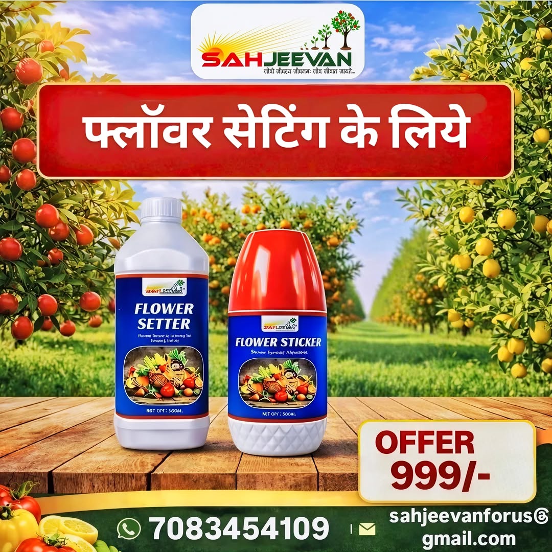 Sahjeevan Flower Setter and Flower Sticker 350ml For 200 Litre Water