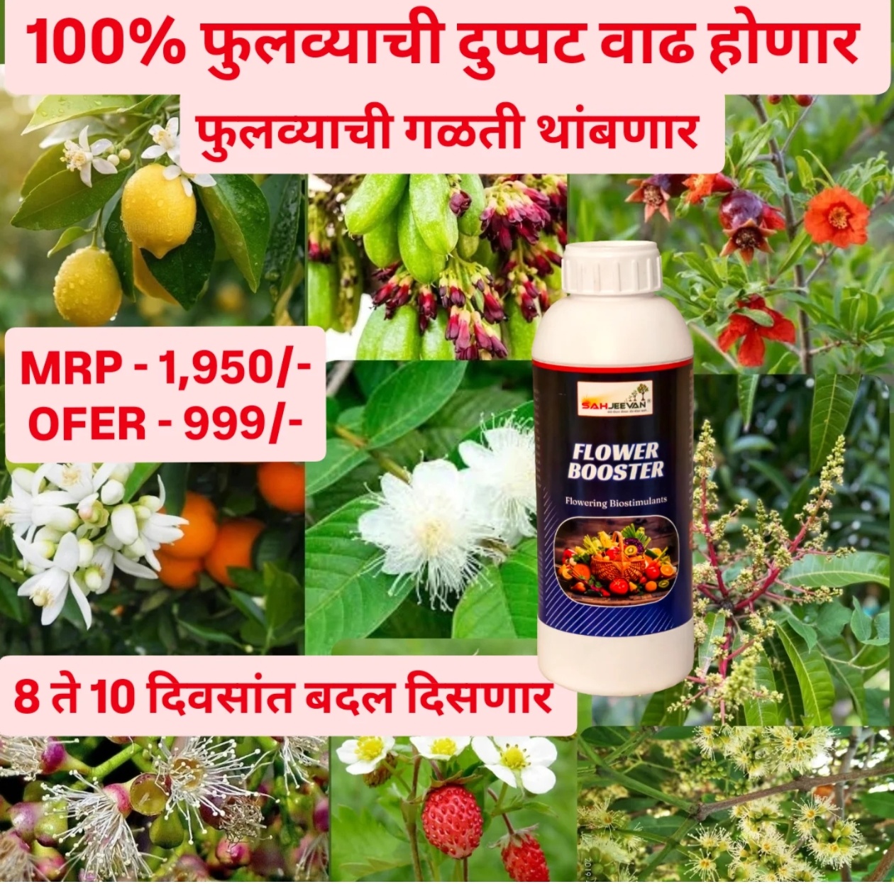 Sahjeevan Flower Booster 500ml