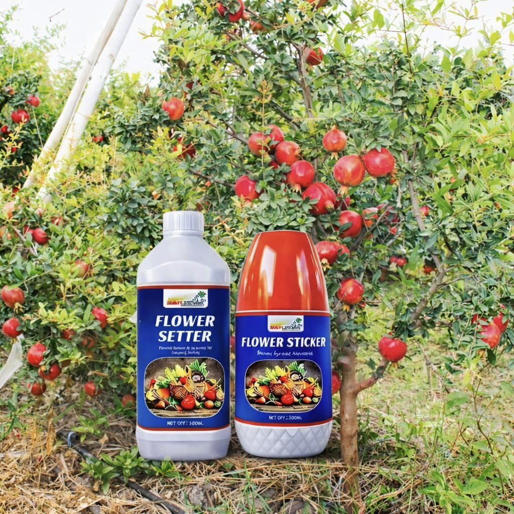 Sahjeevan Flower Setter and Flower Sticker 350ml For 200 Litre Water