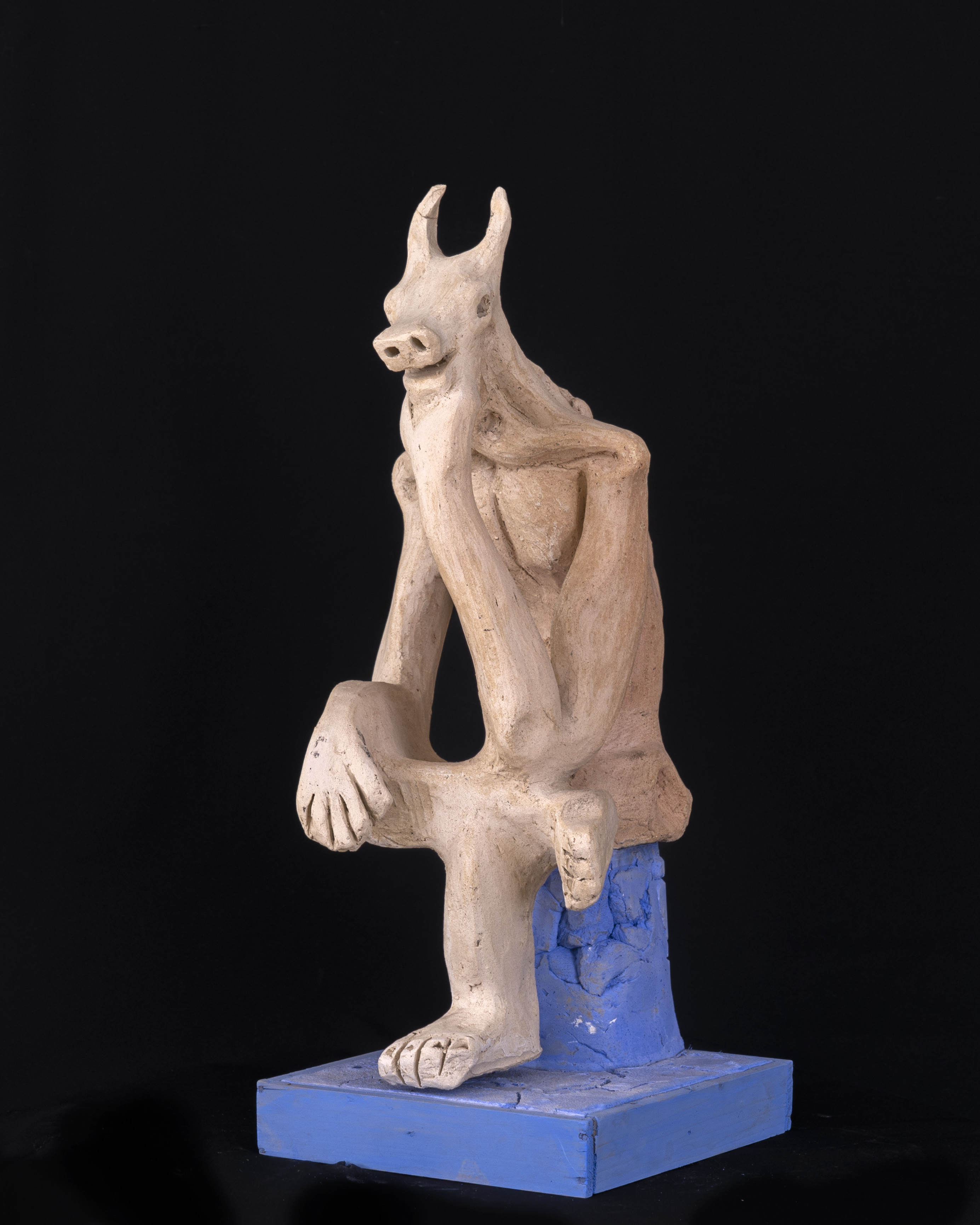 El burro