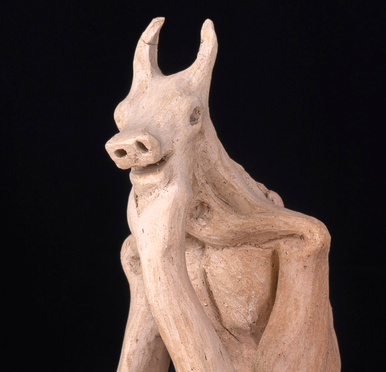 El burro 