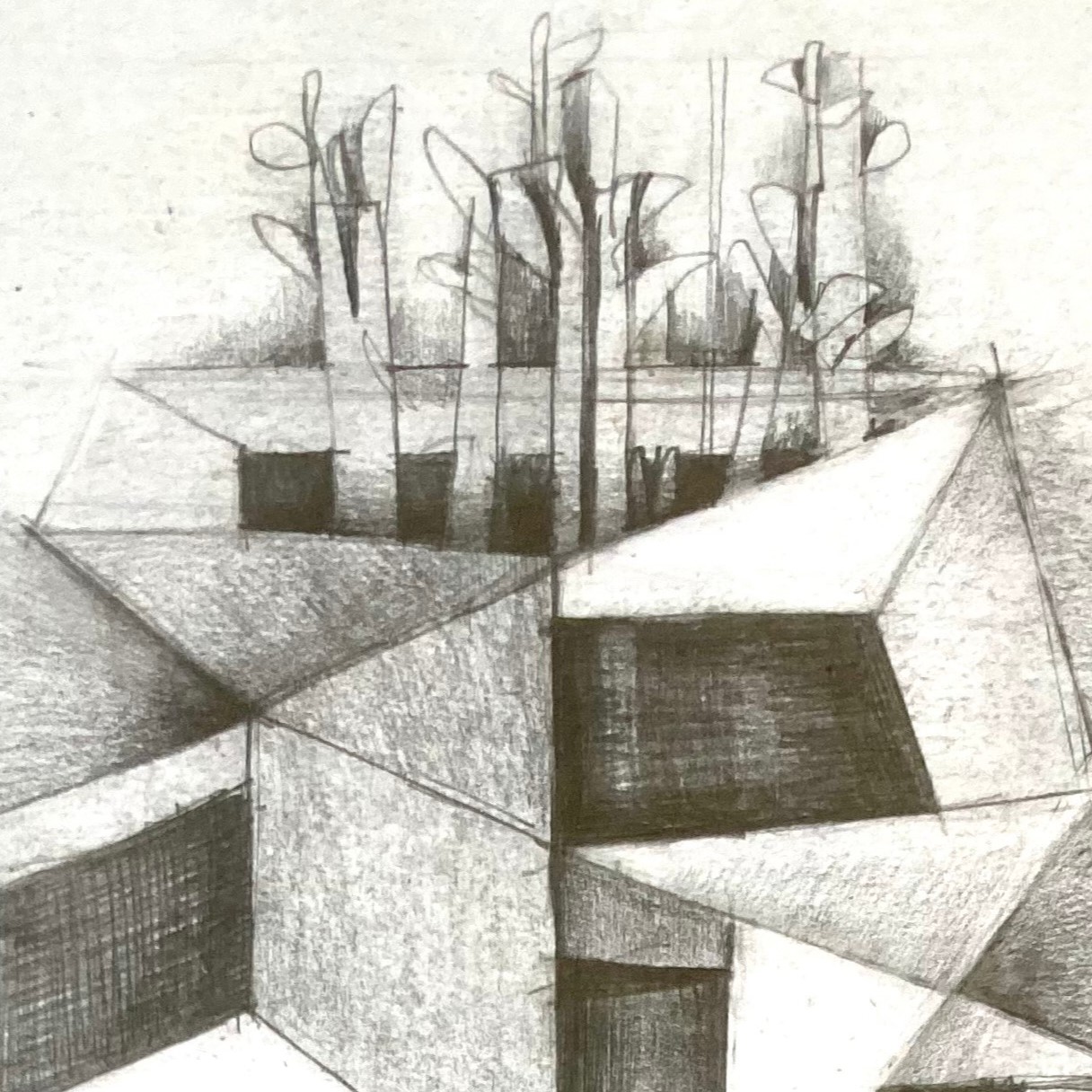 Biocreación 