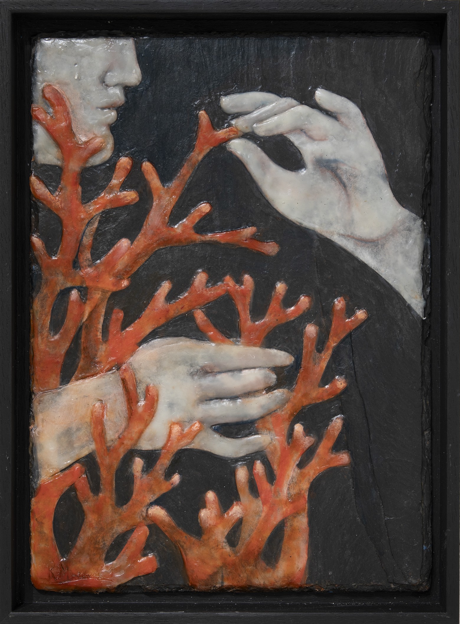 El origen del coral I