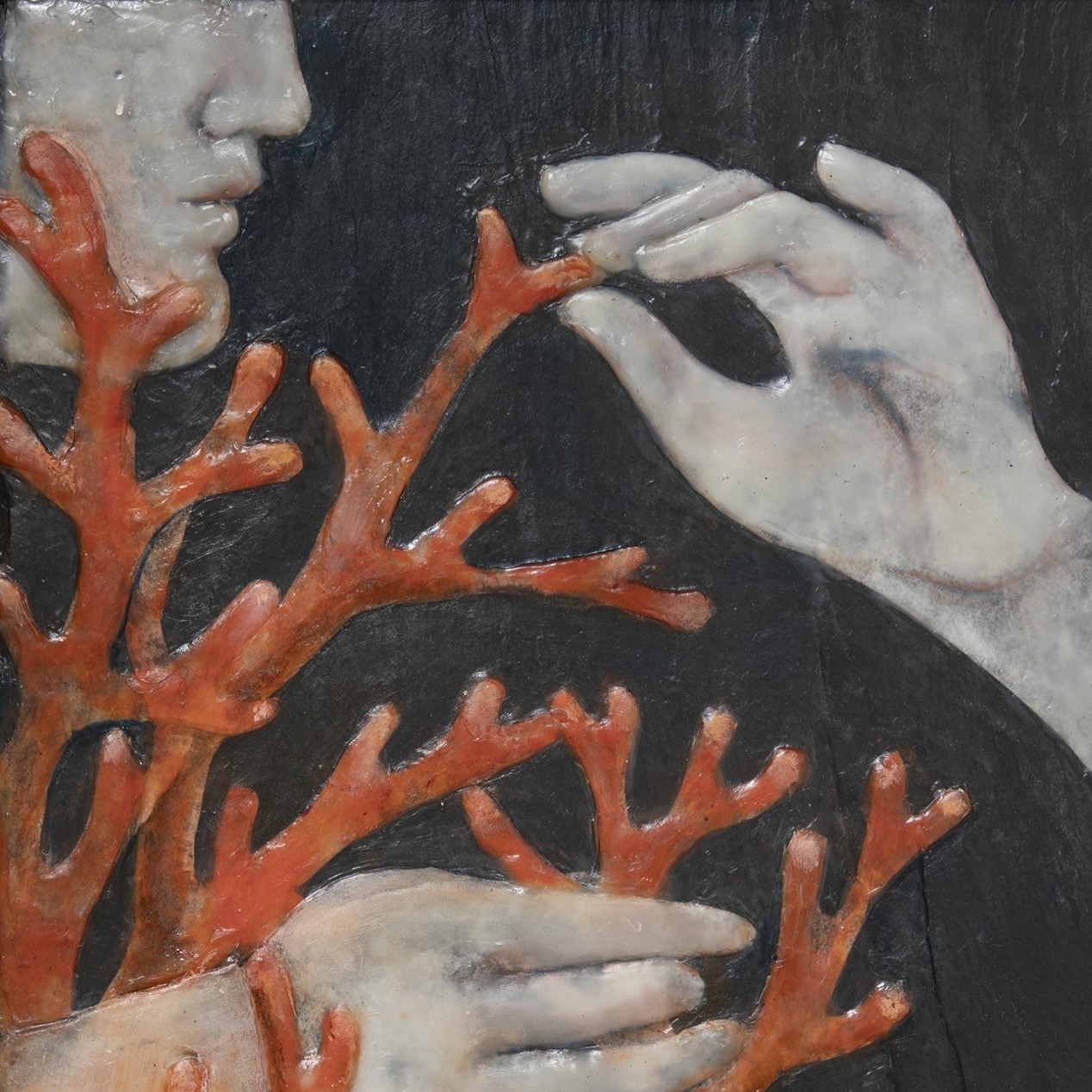 El origen del coral I