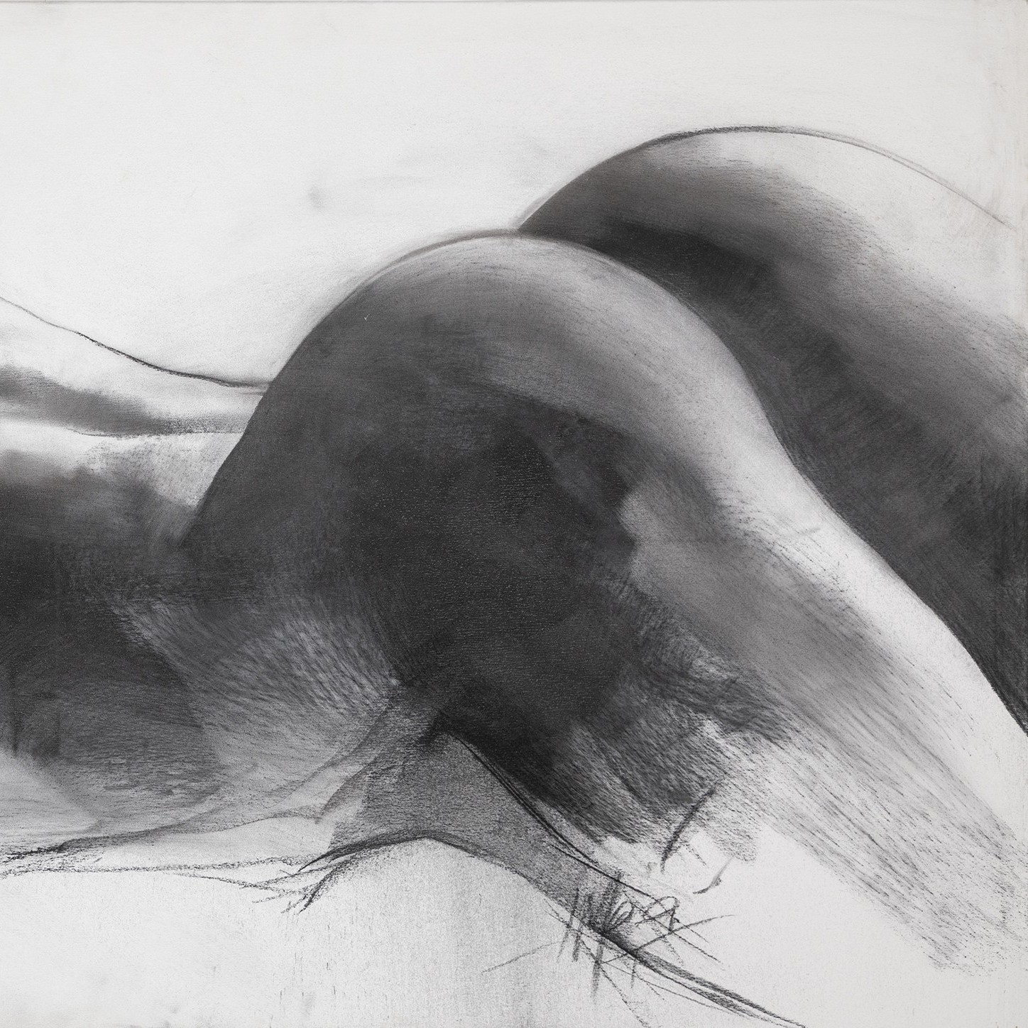 Charcoal to fall in love with