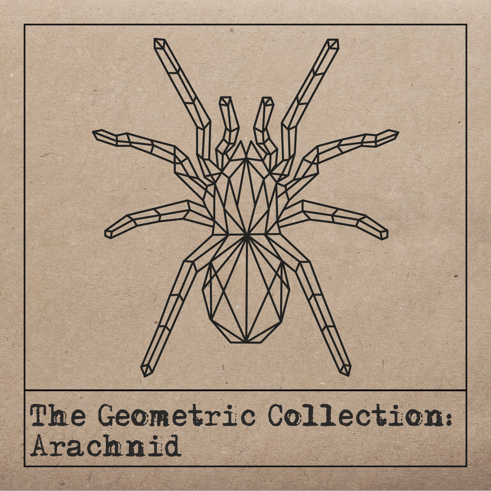 Geometric Collection - Arachnid (tee)
