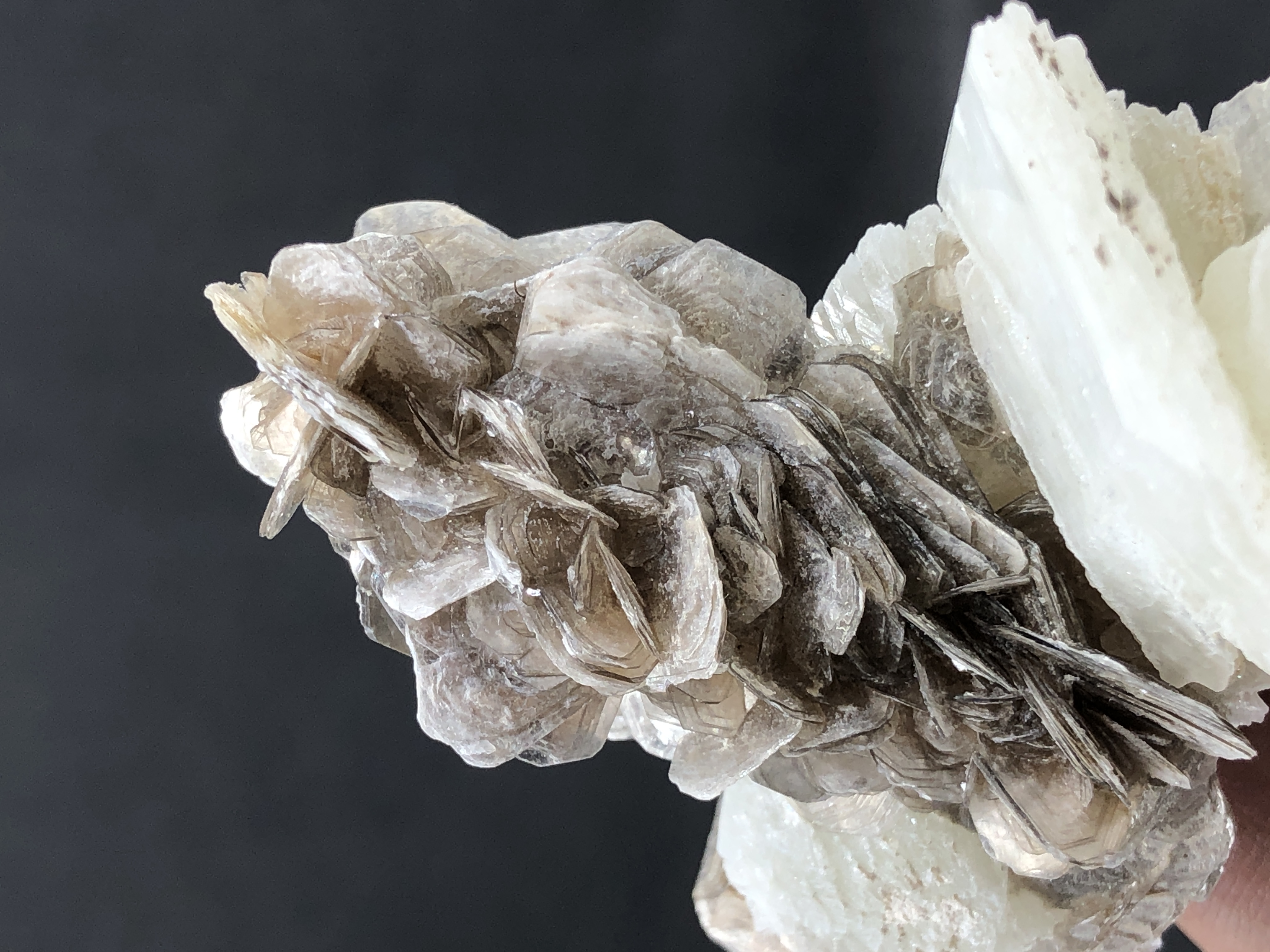 Natural Flower Muscovite Bunch Rested On Calcite.