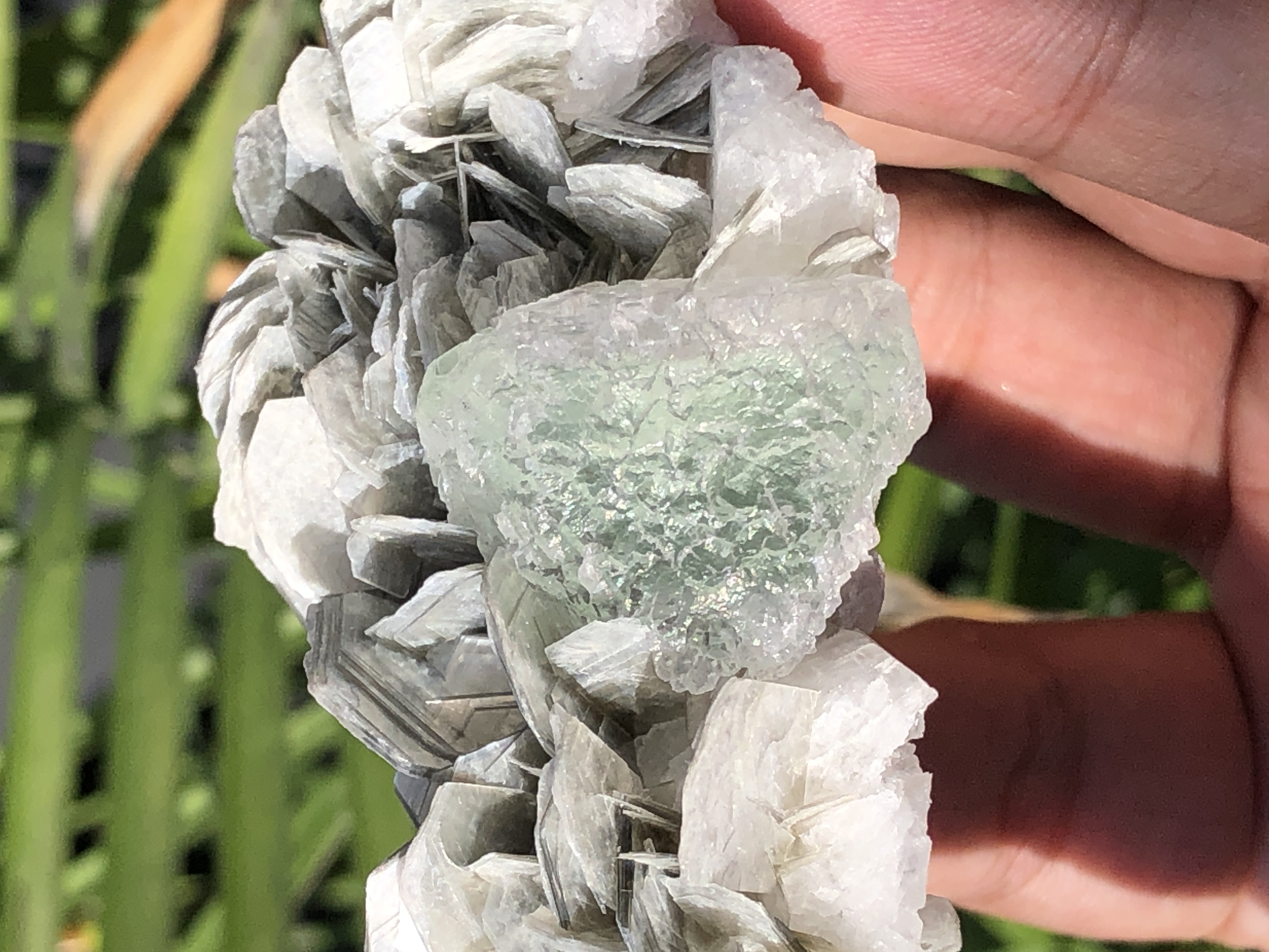 An Aesthetic Green Fluorite Sphere Rested on Flower Shape Muscovite.