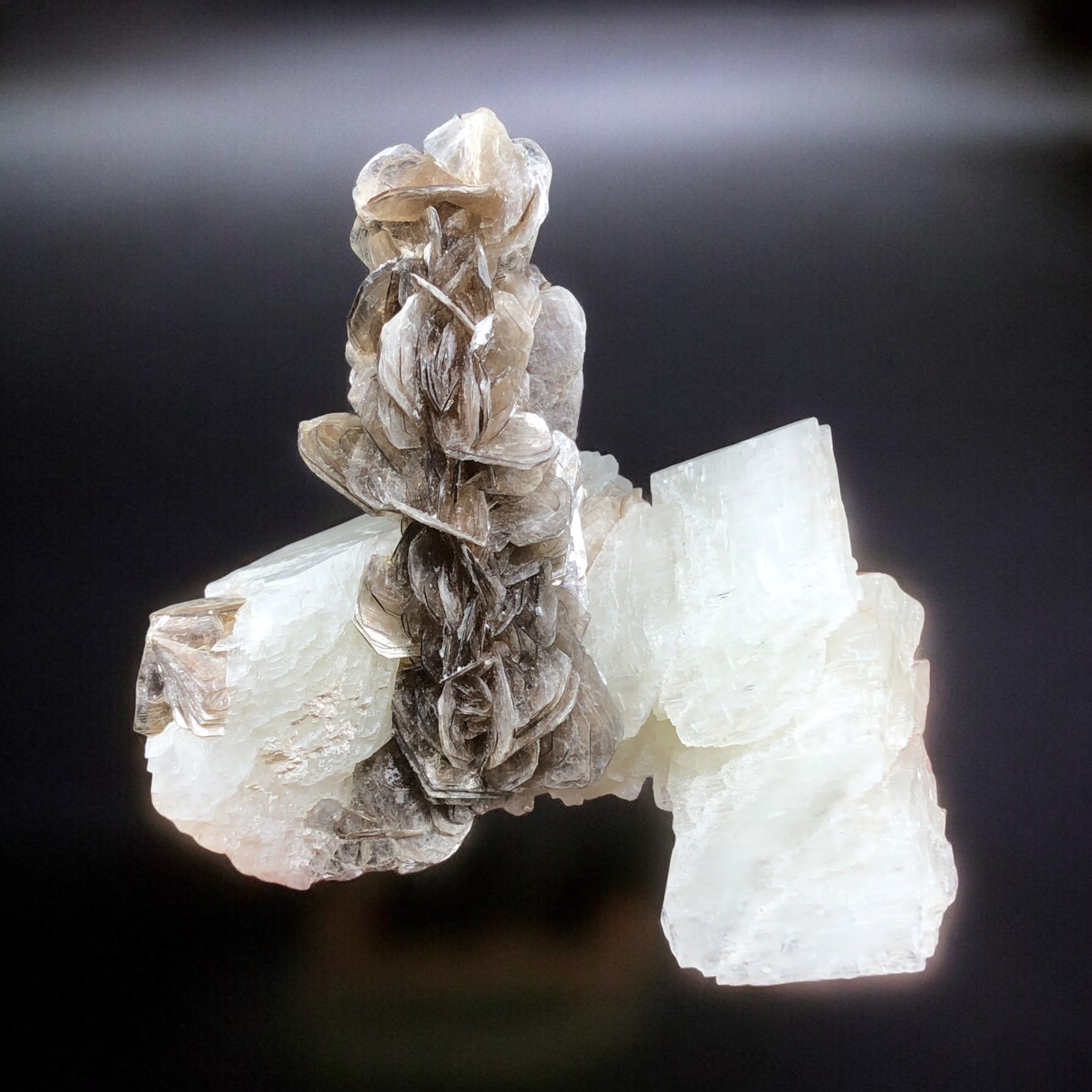Natural Flower Muscovite Bunch Rested On Calcite.