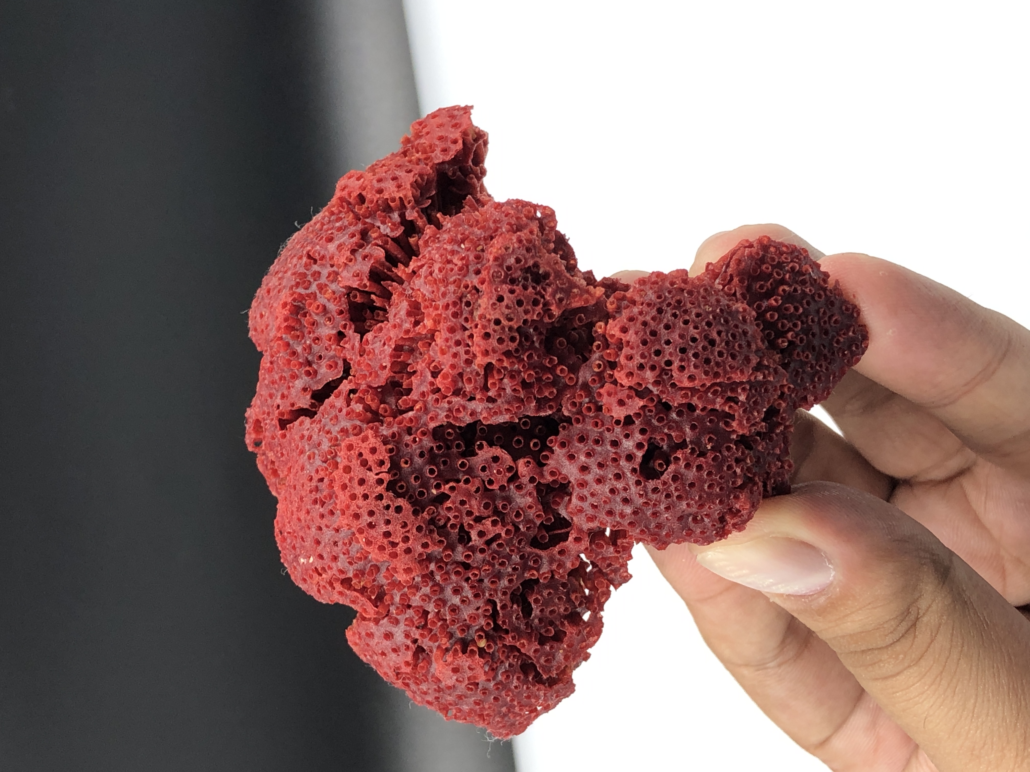 Natural Bunch of Red Coral, from Pakistan
