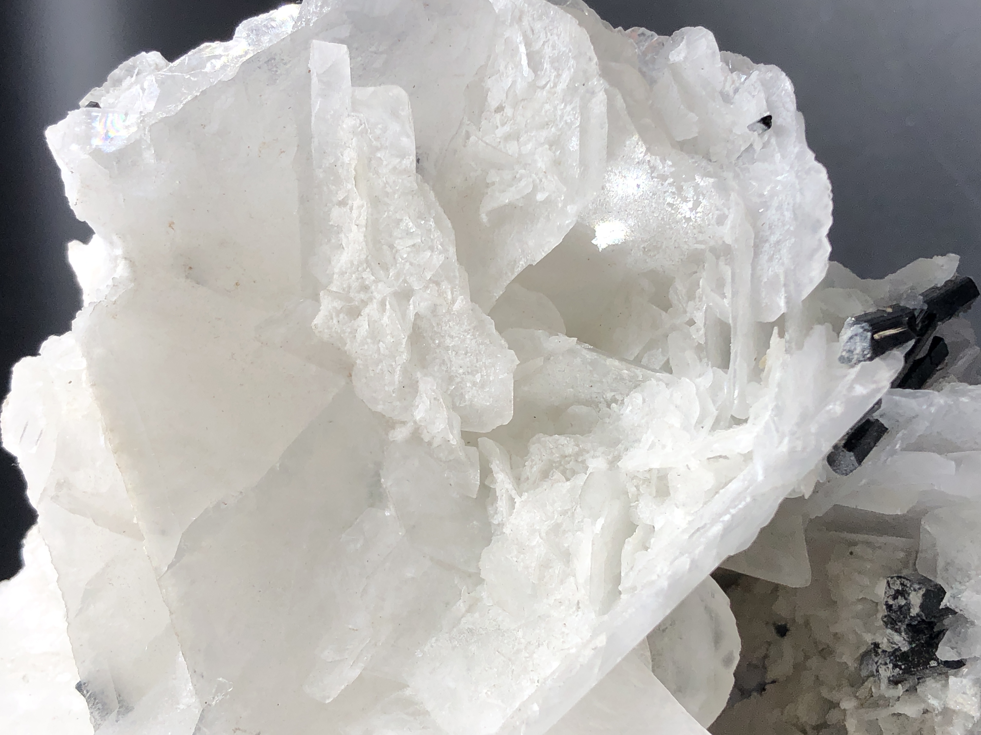 Natural Flower Shape Calcite in Association With Schorl.