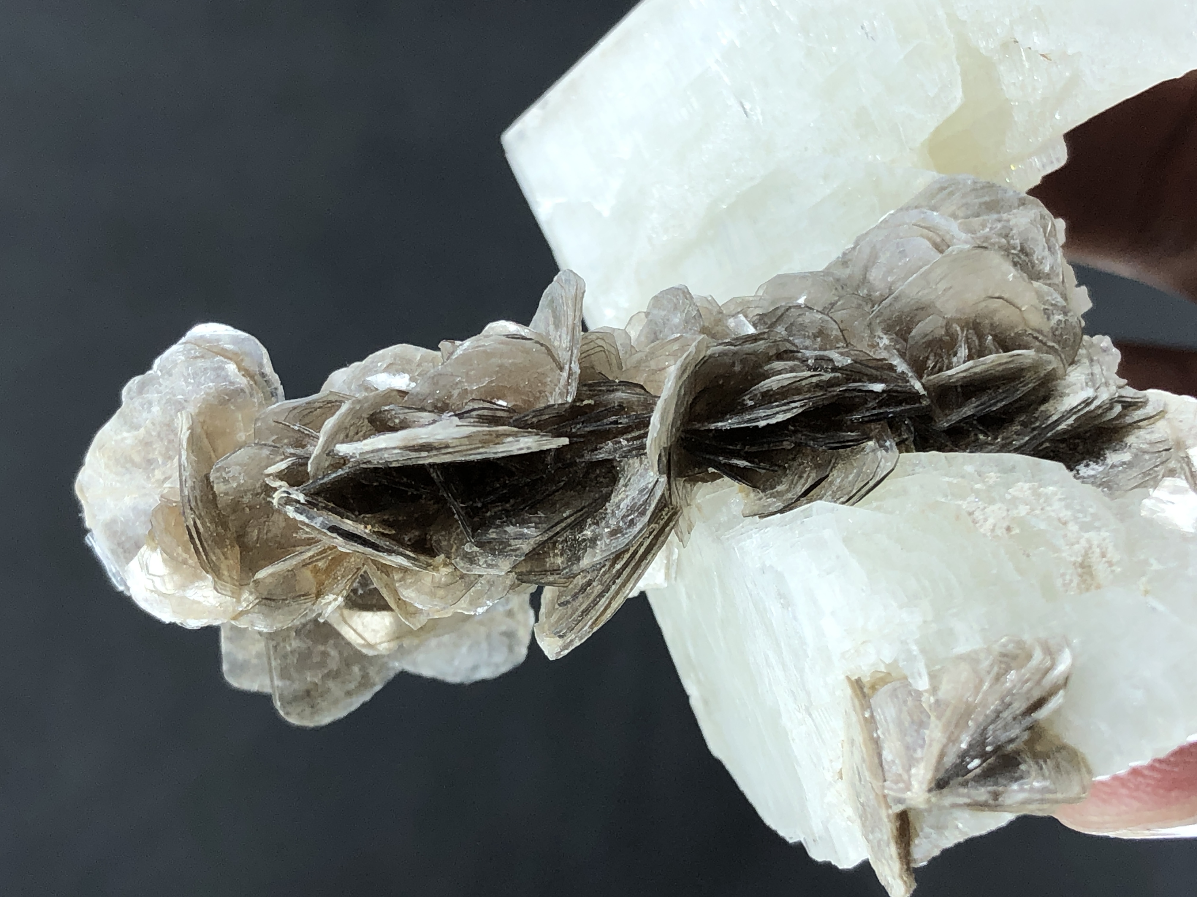 Natural Flower Muscovite Bunch Rested On Calcite.