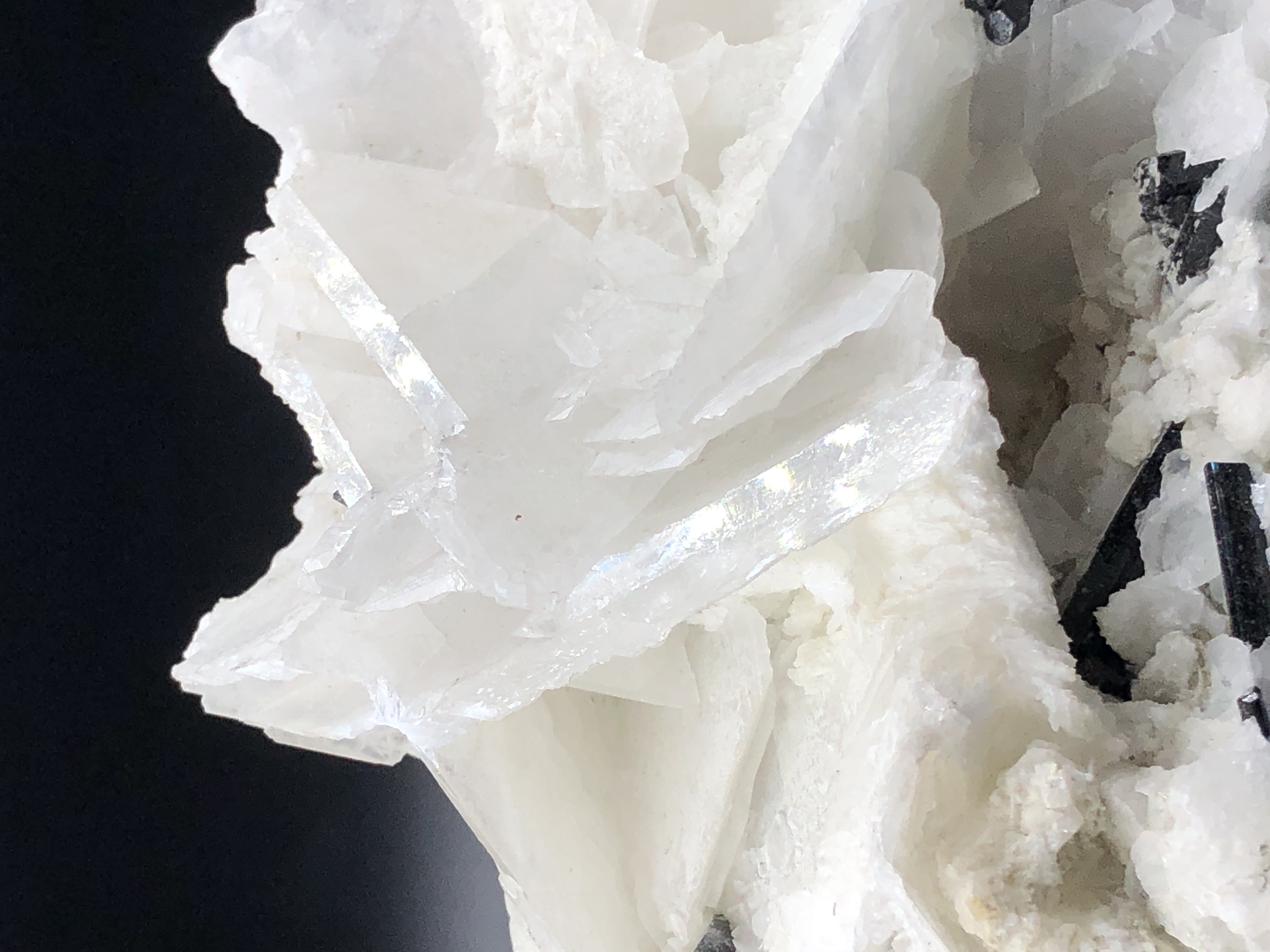 Natural Flower Shape Calcite in Association With Schorl.