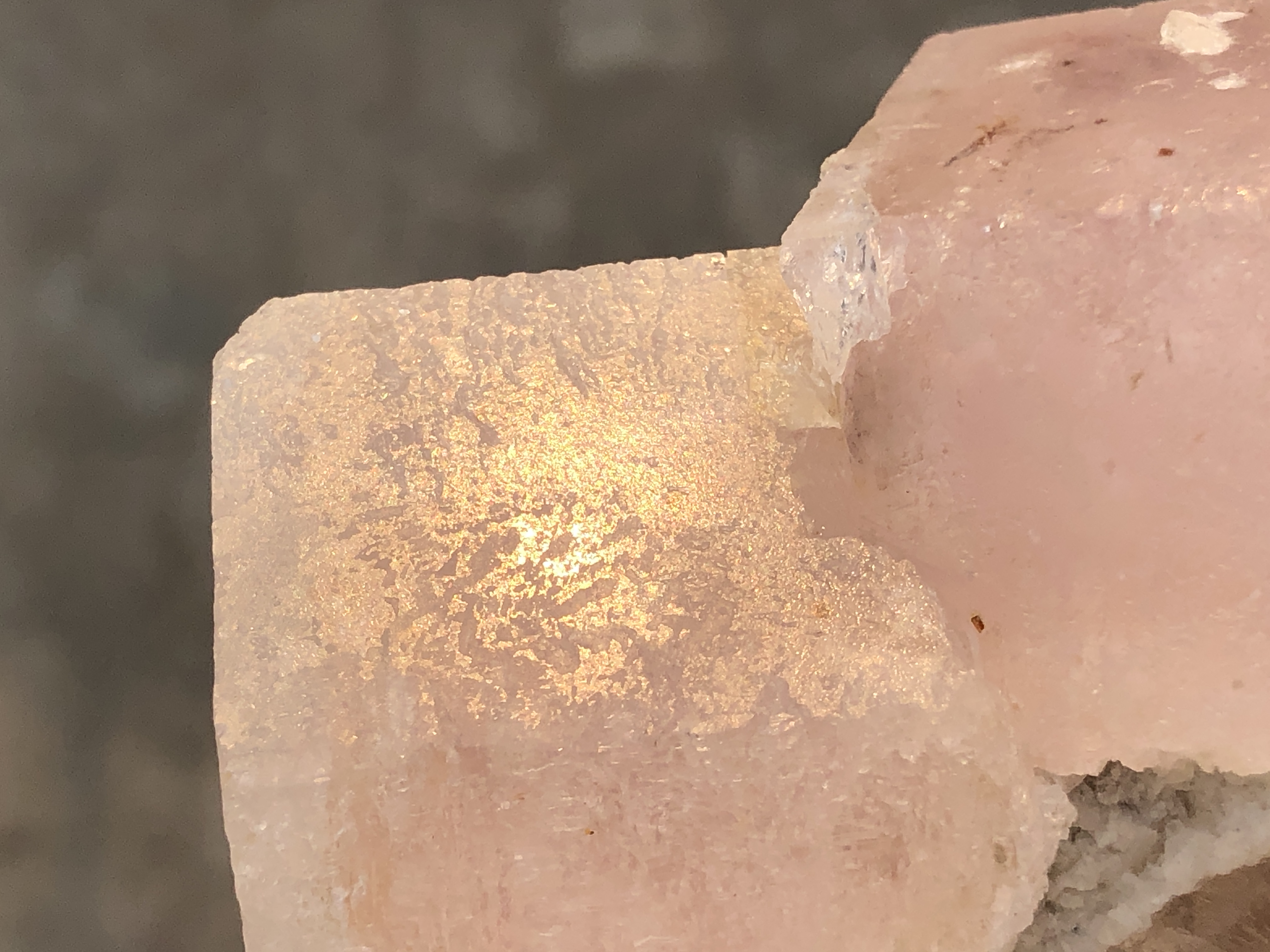 Natural Beryl Var Pink Morganite Crystal's. 