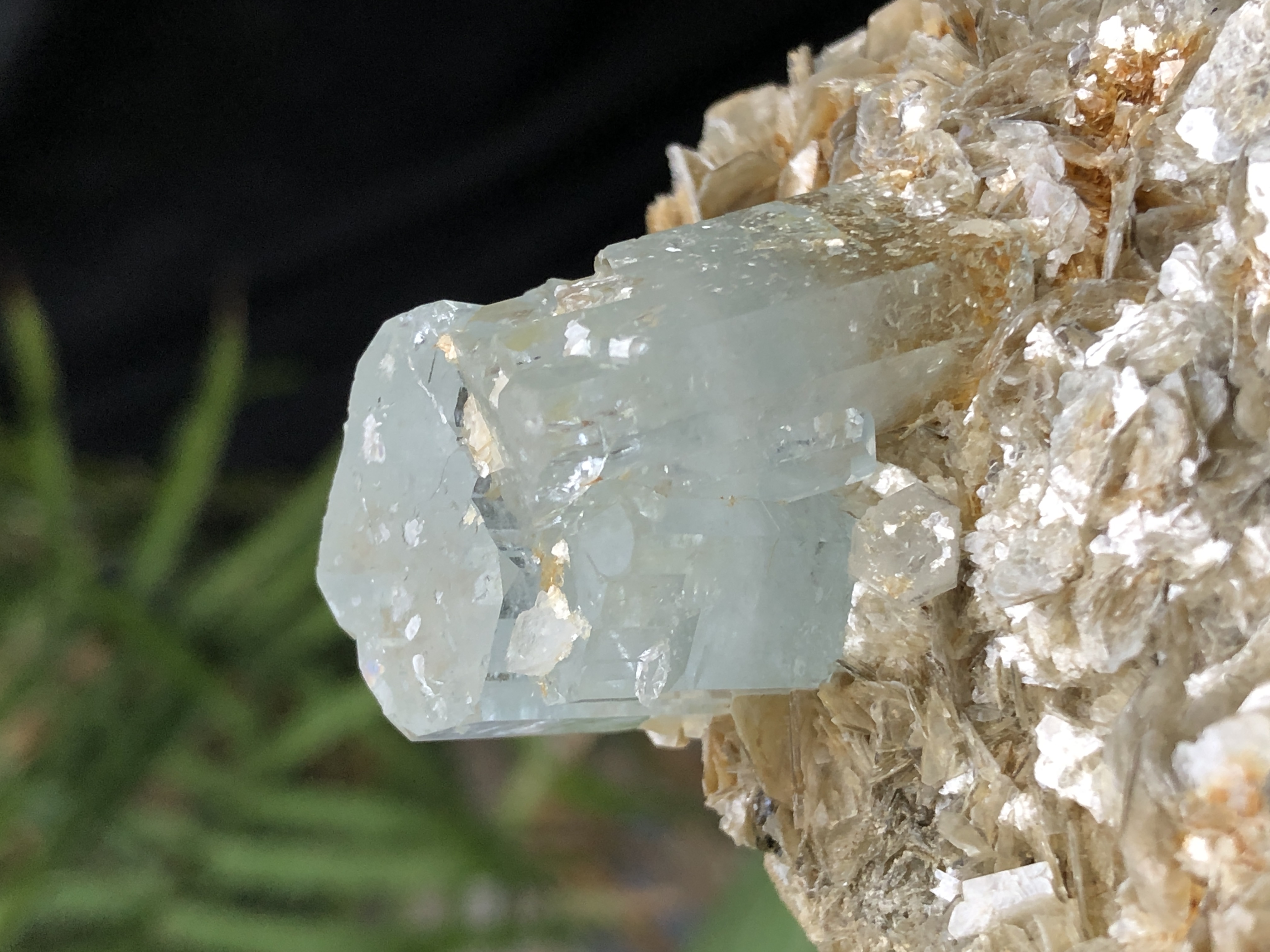 Natural Terminated Aquamarine Crystal on Muscovite.