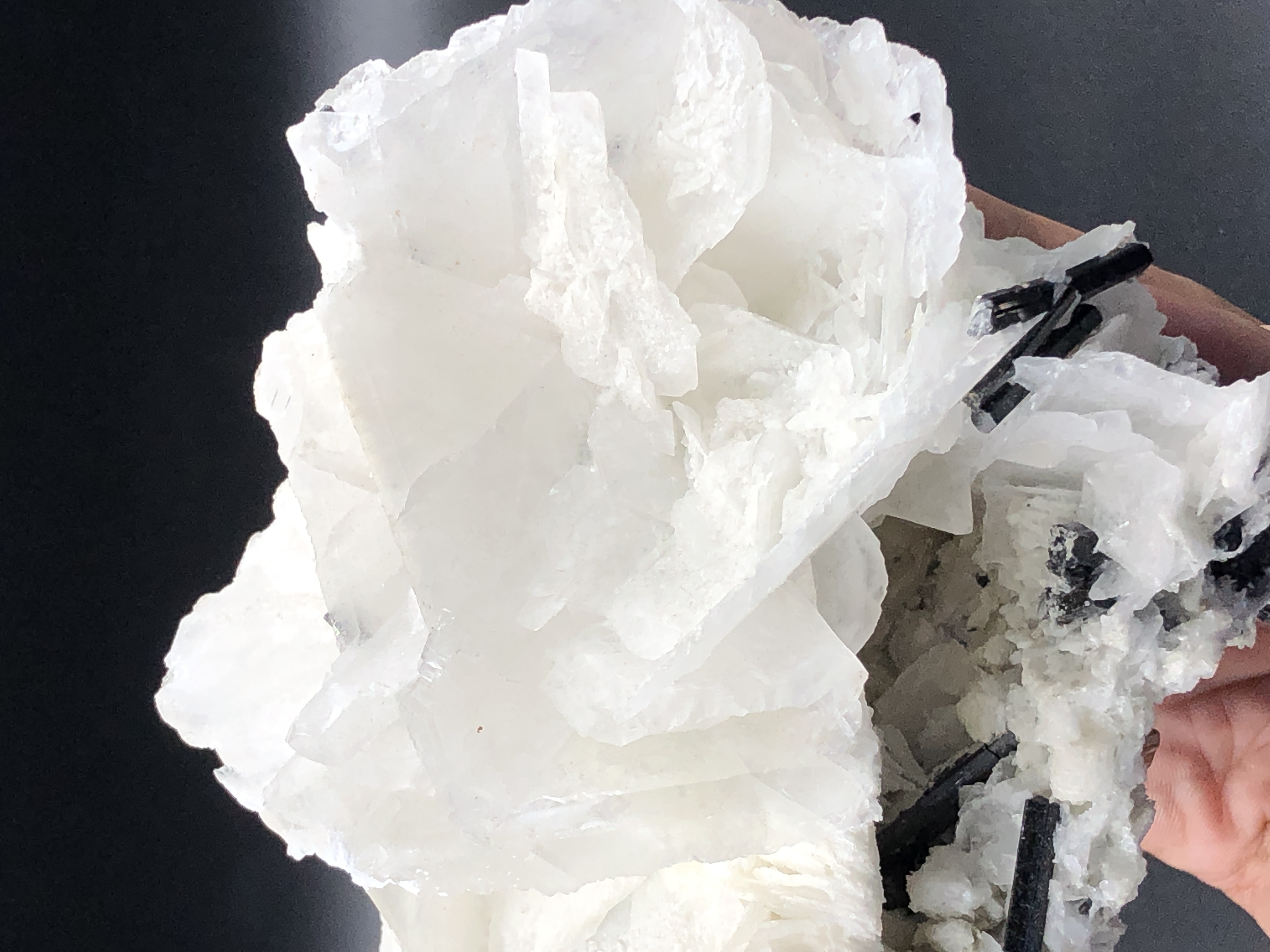 Natural Flower Shape Calcite in Association With Schorl.